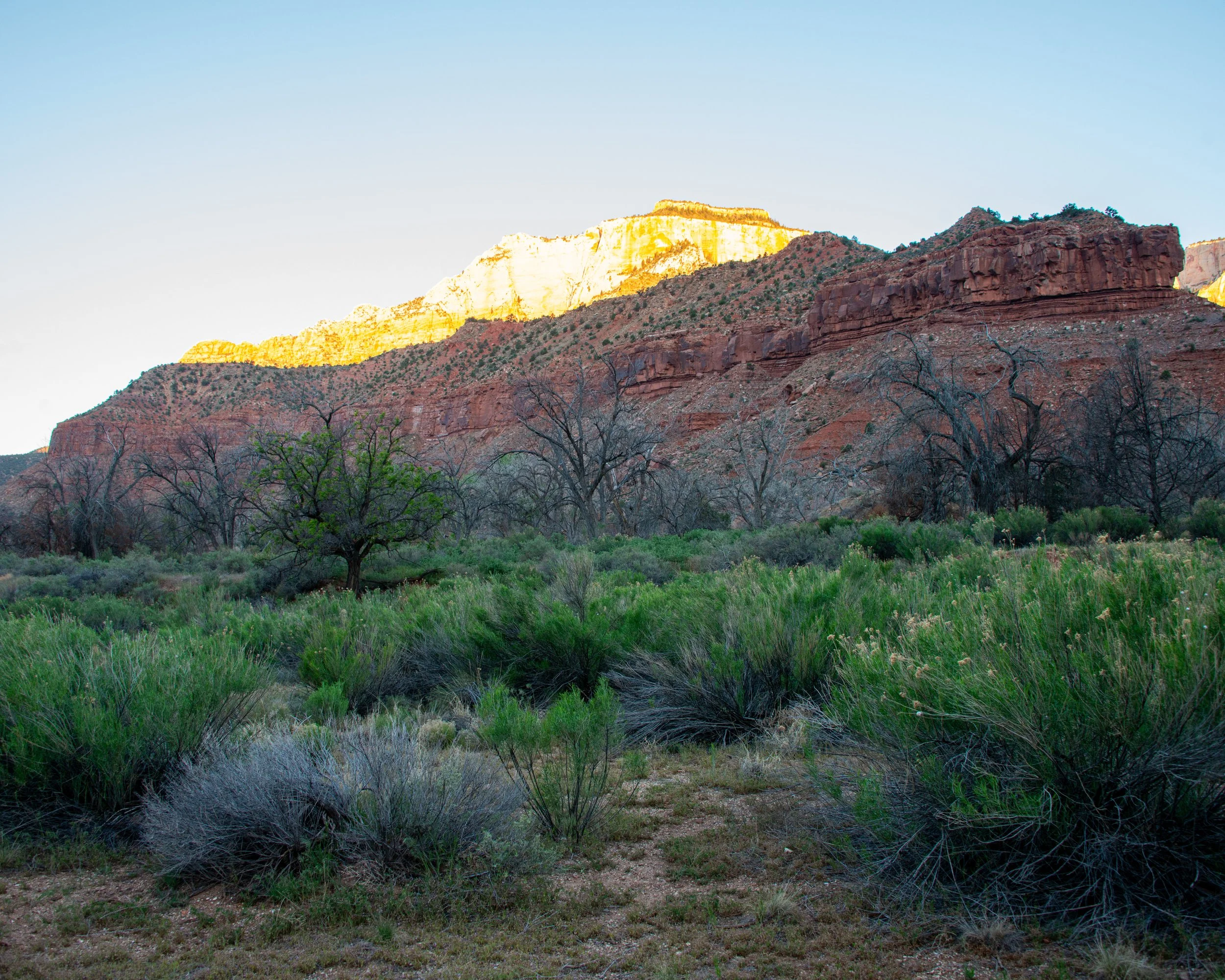 Zion-22.jpg