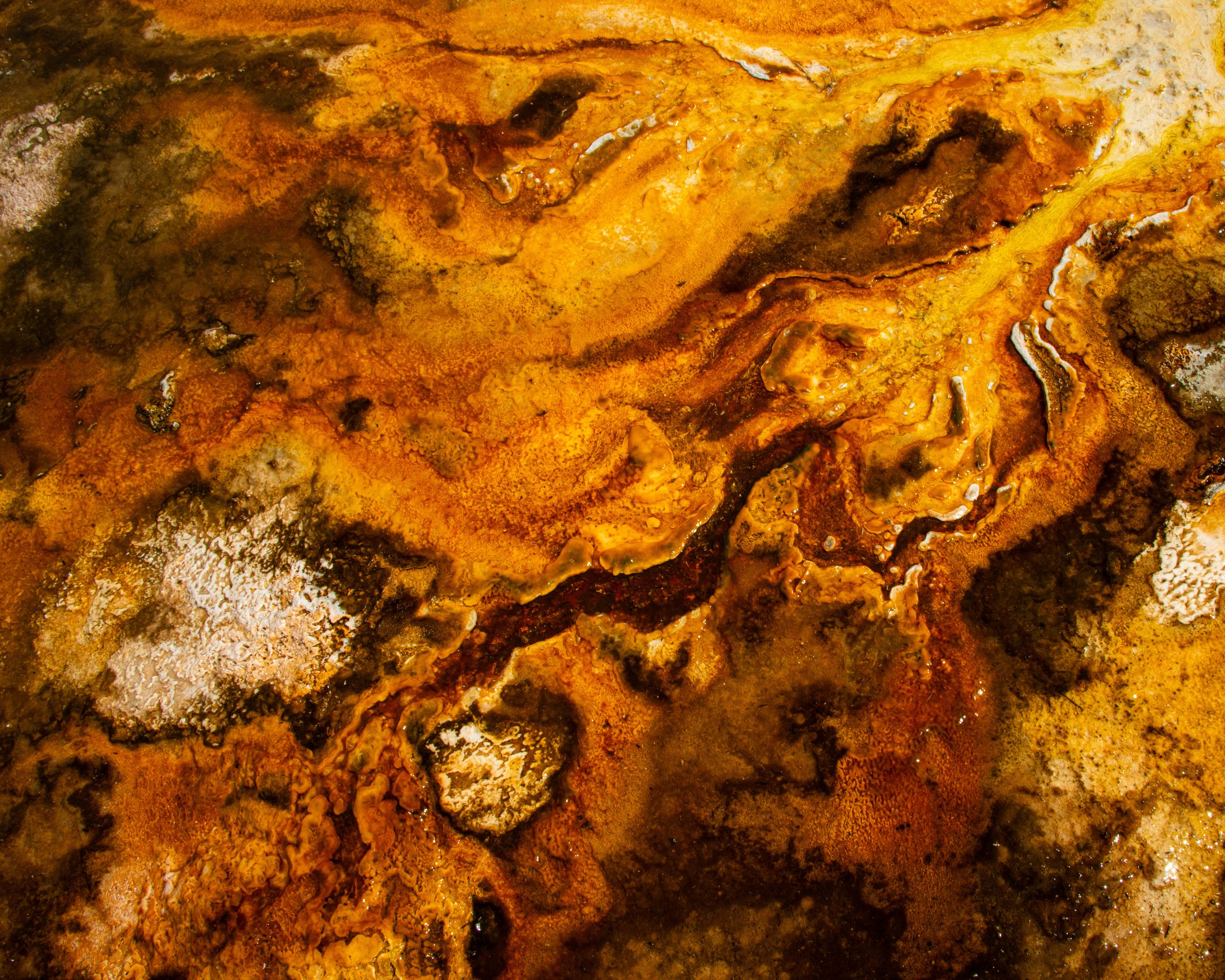 Yellowstone NP-691.jpg