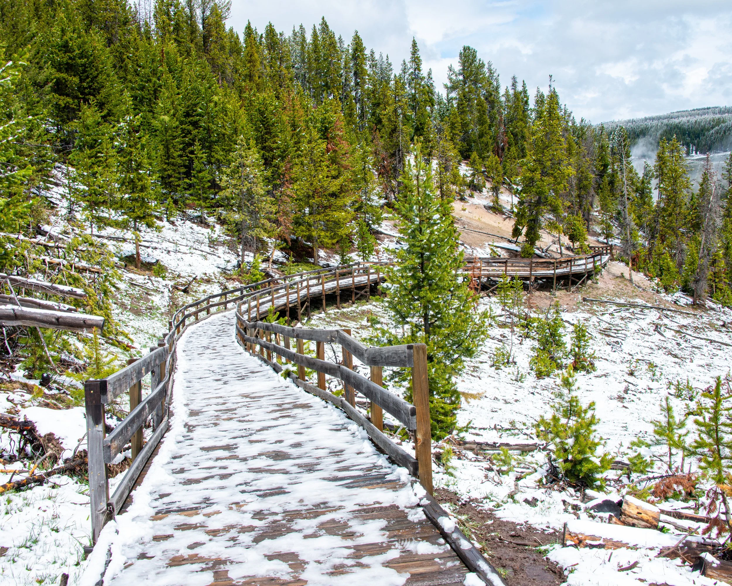 Yellowstone NP-137.jpg