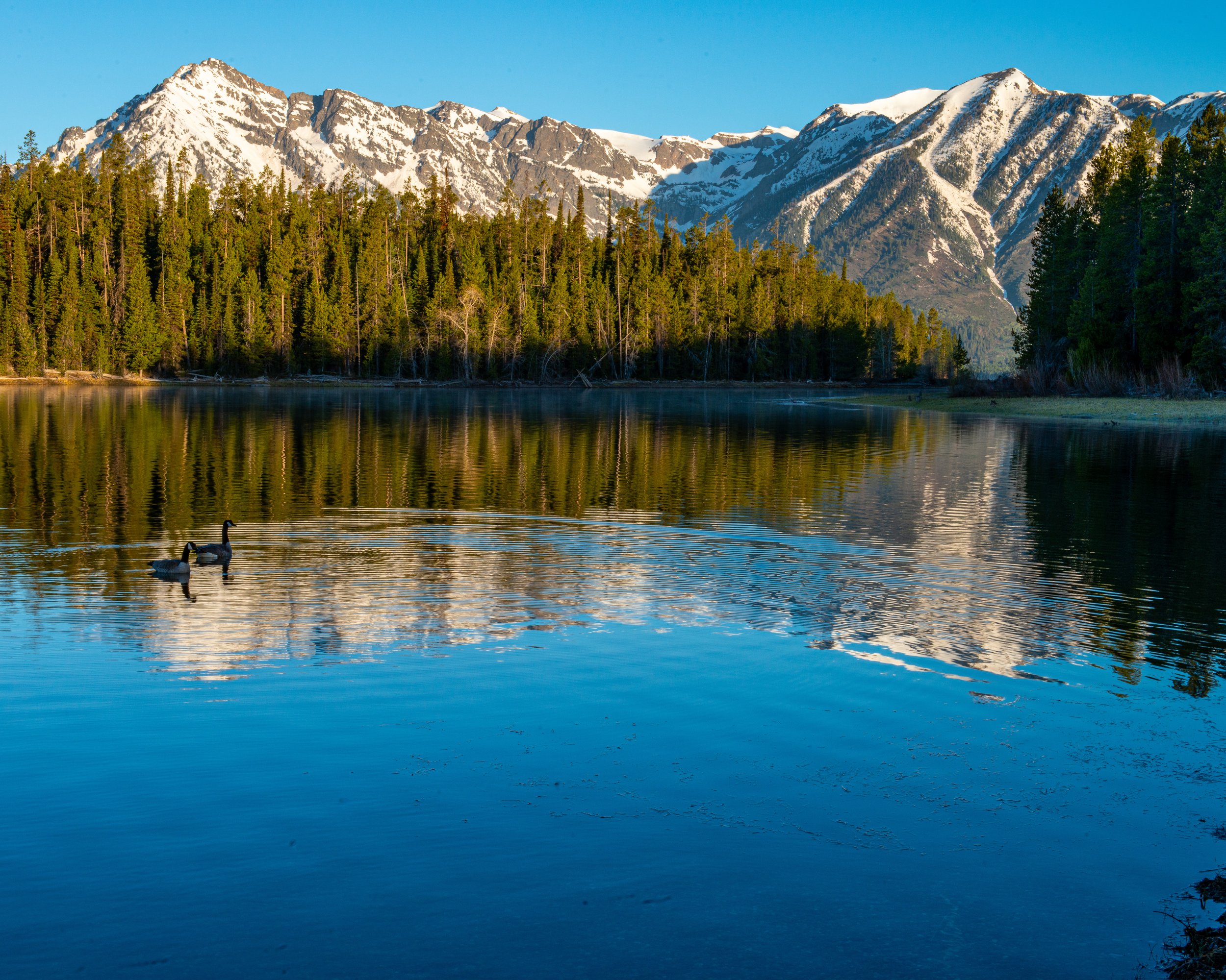 Grand Teton NP-136.jpg