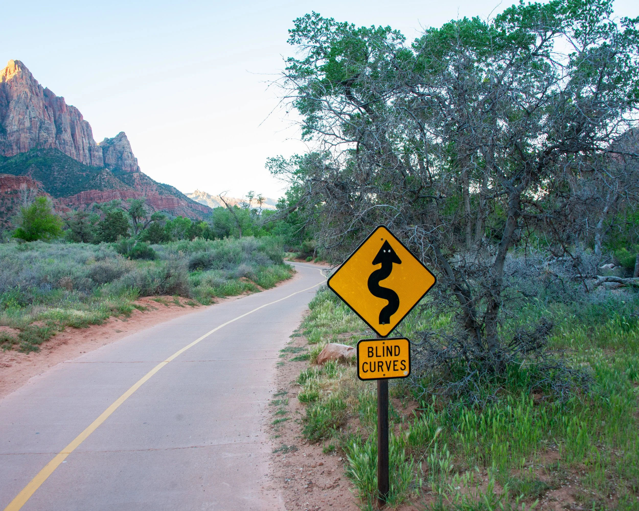 Zion-36.jpg