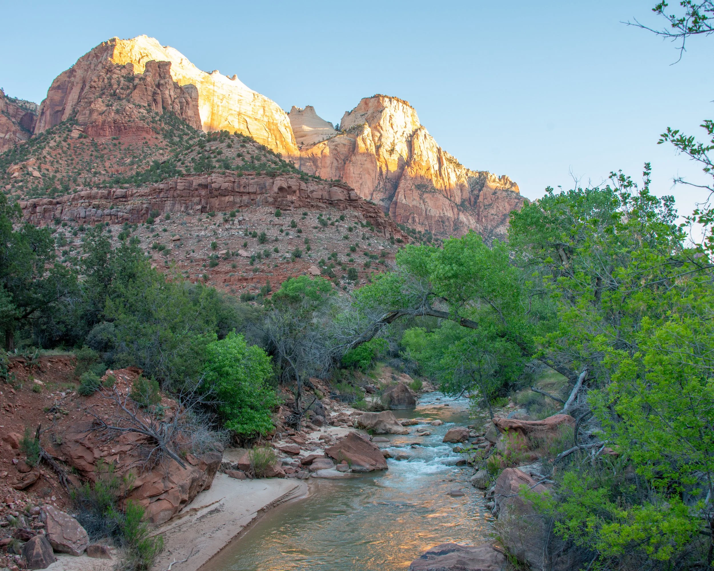 Zion-30.jpg