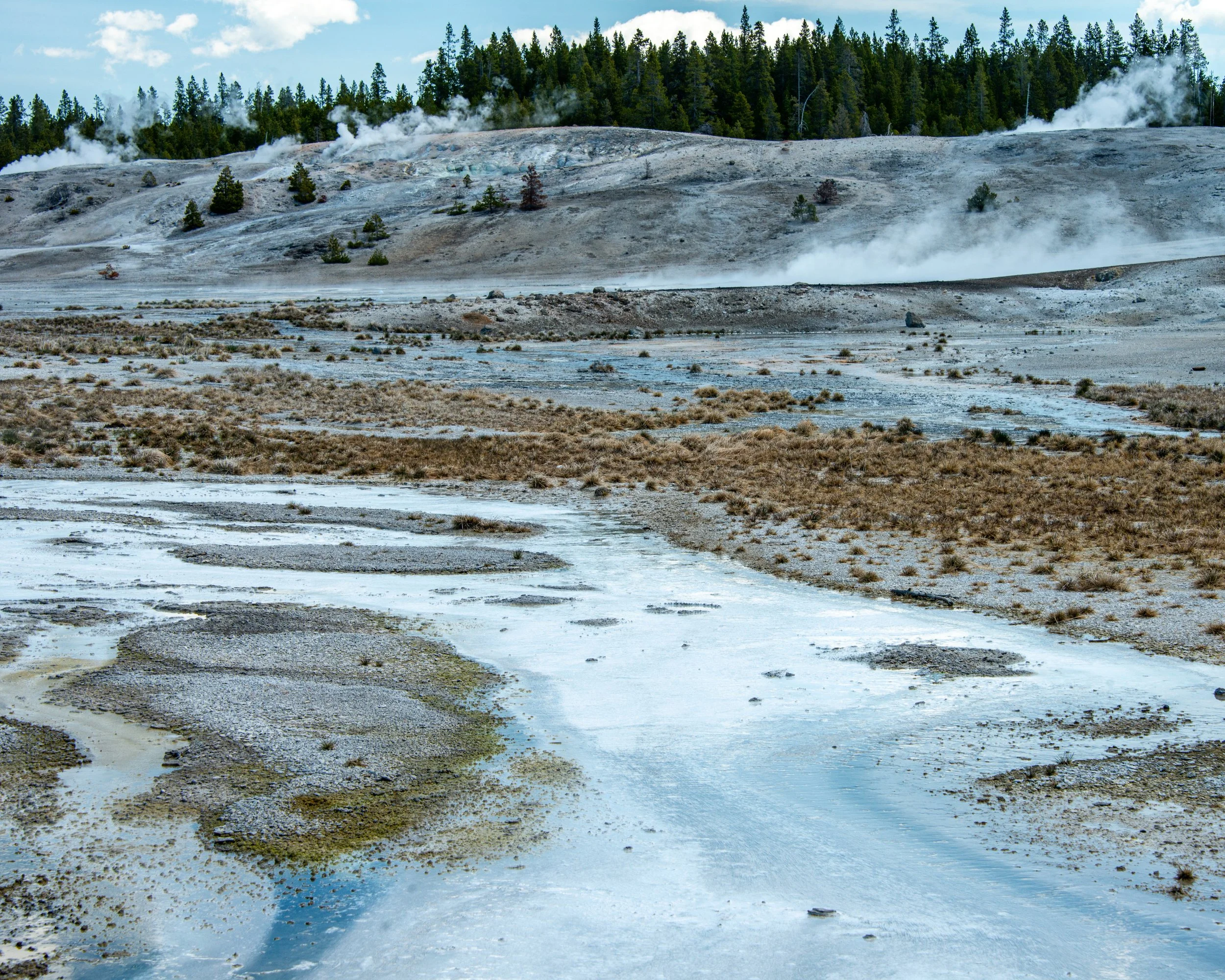 Yellowstone NP-450.jpg
