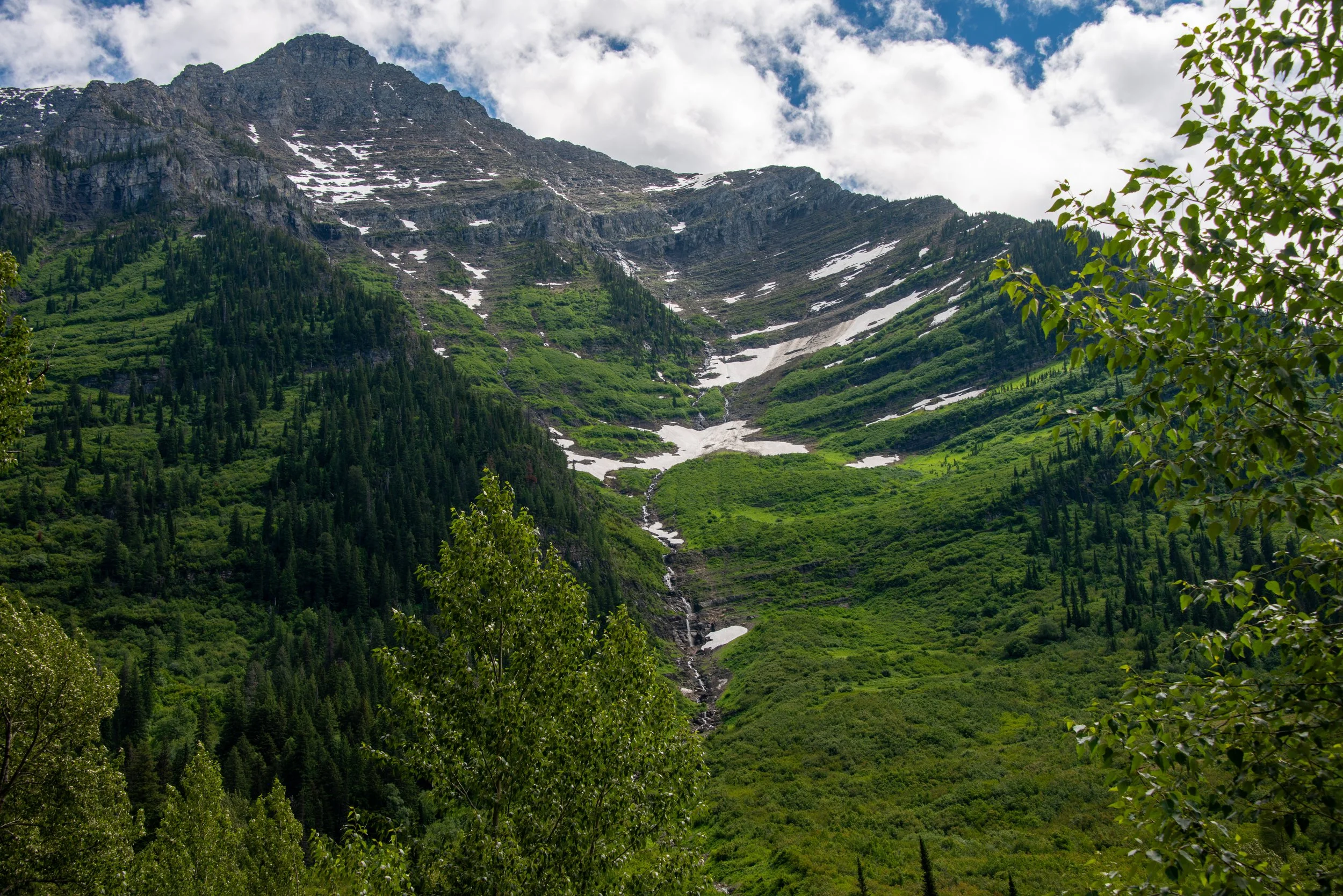 Glacier NP-520.jpg