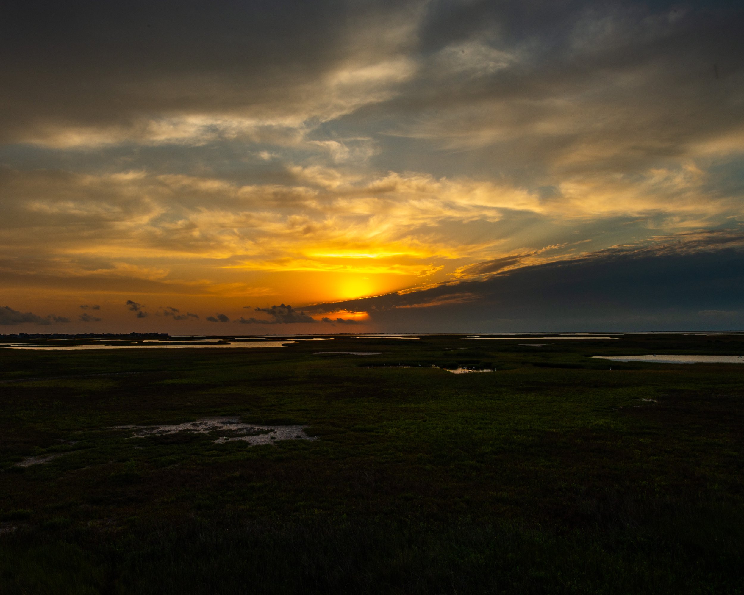 Galveston Island-129.jpg