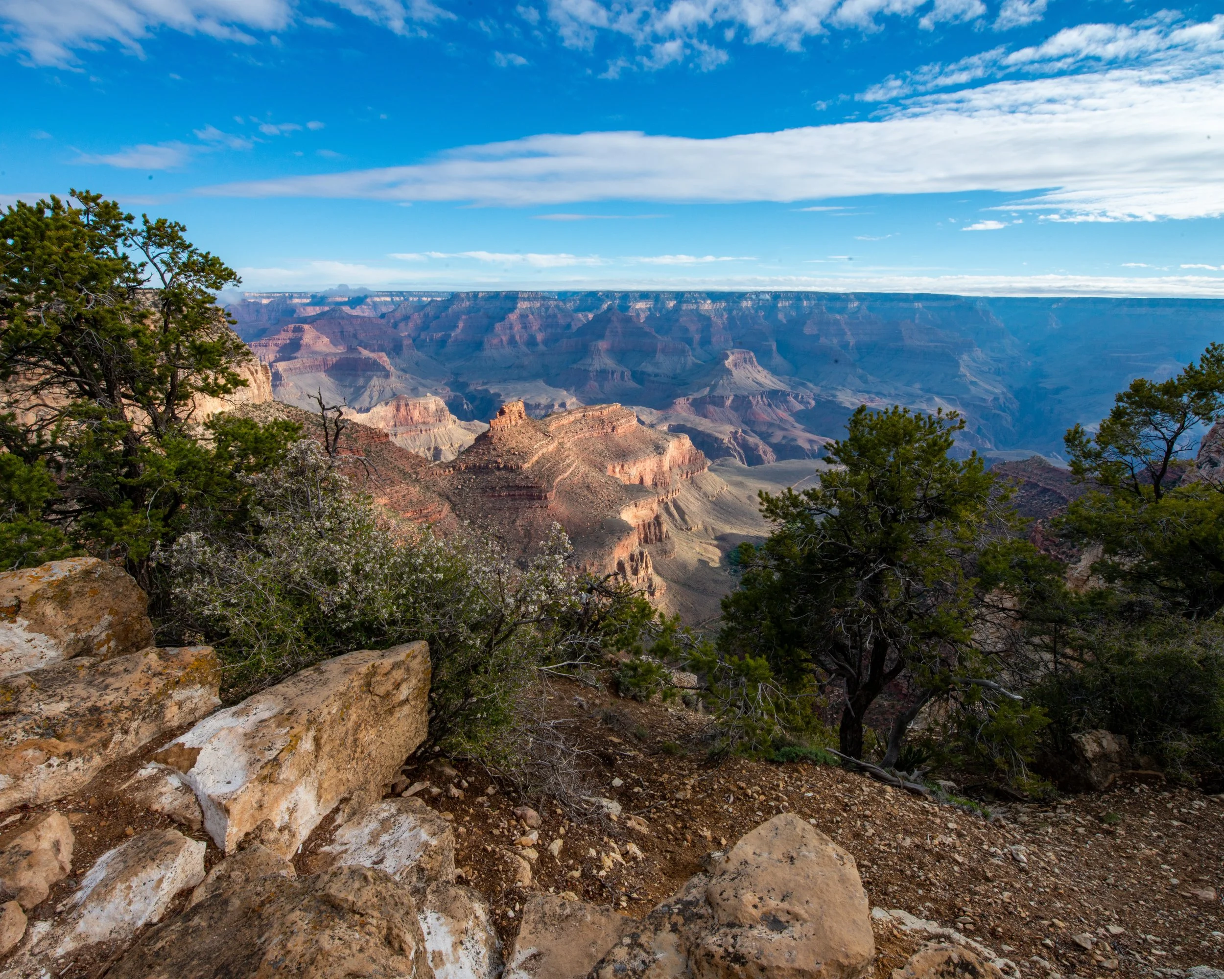 Rim Trail 5-7-25-215.jpg