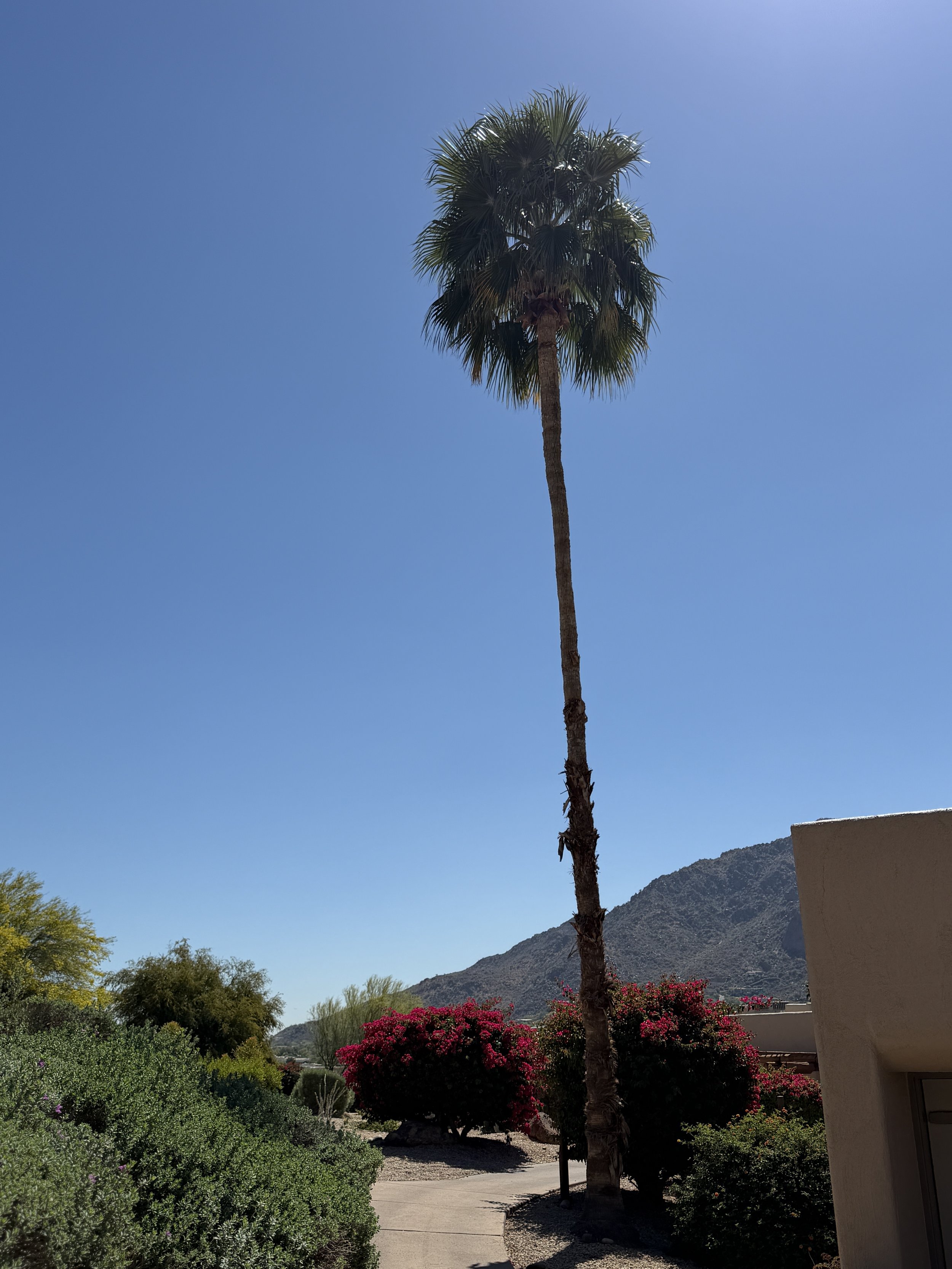 IMG_5605.jpeg