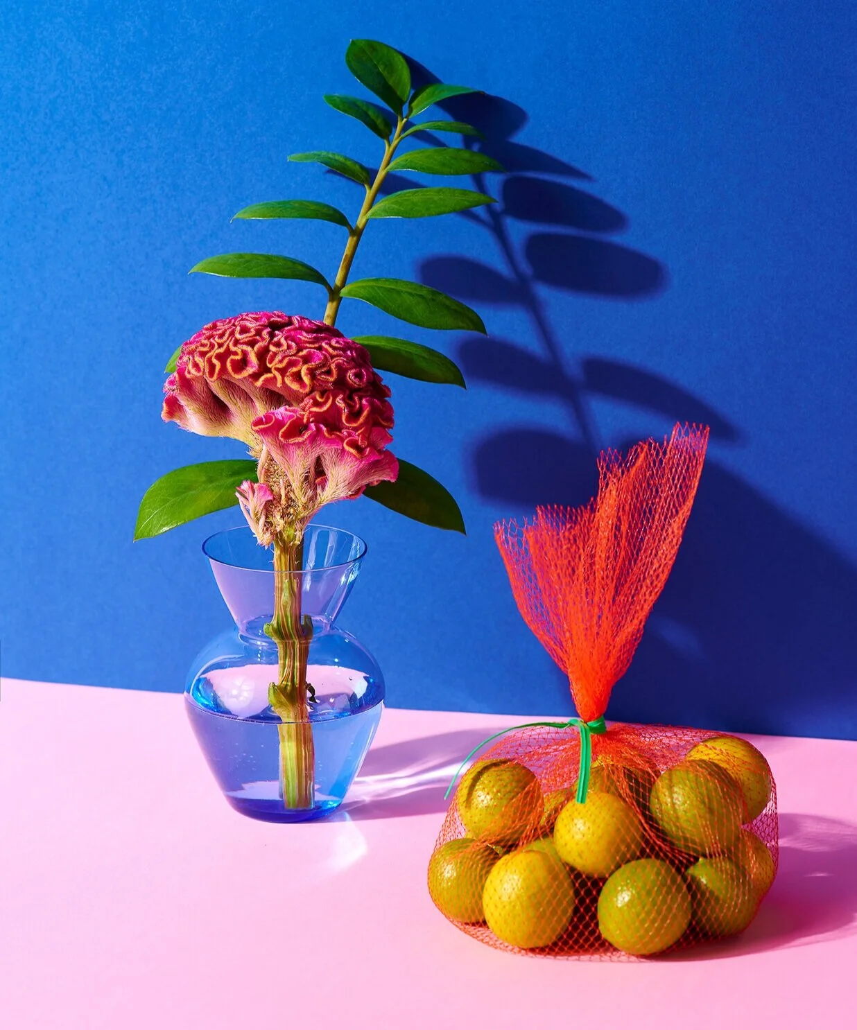 fruitplant2.jpg