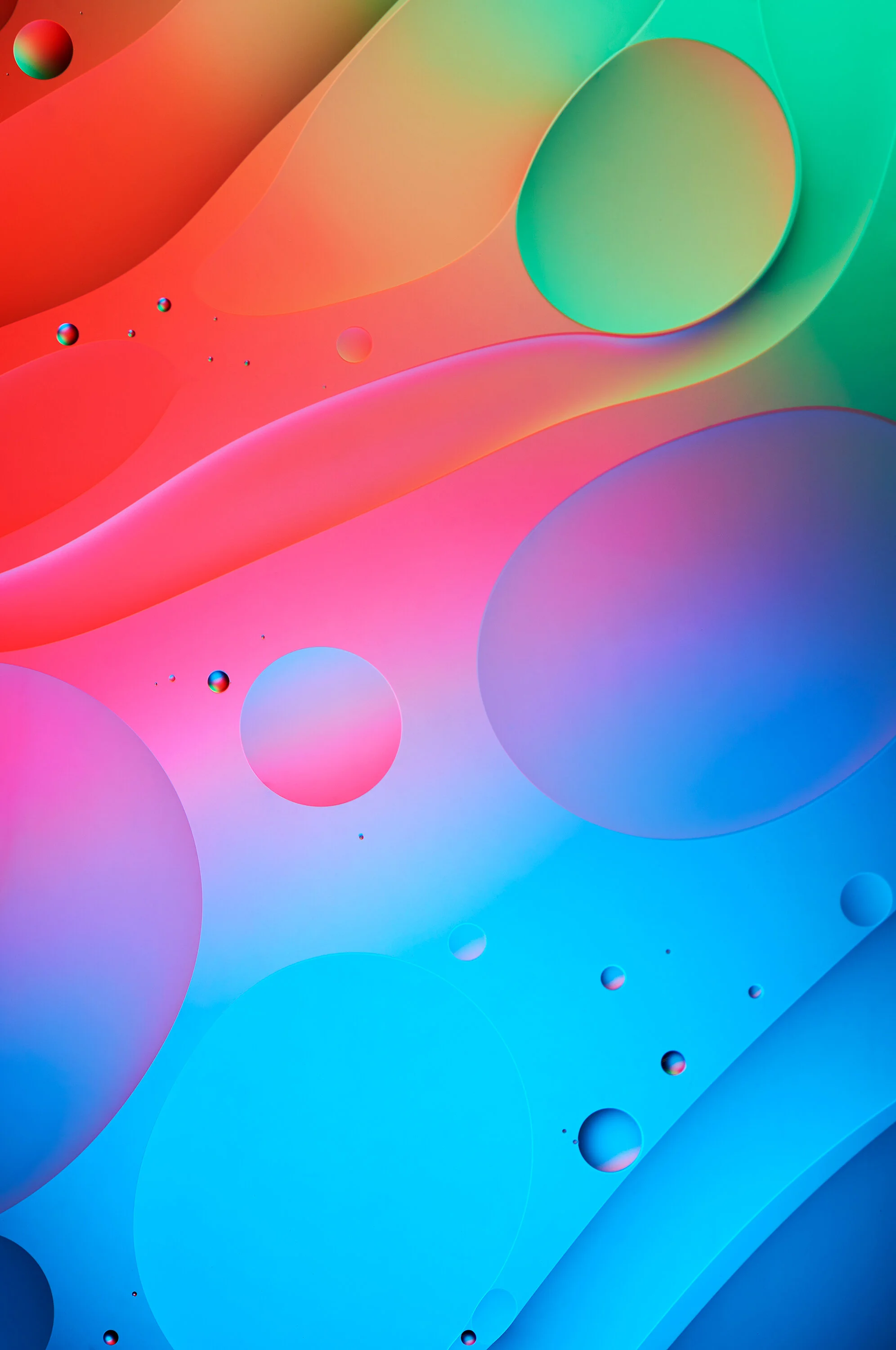 Bliss_2754.jpg