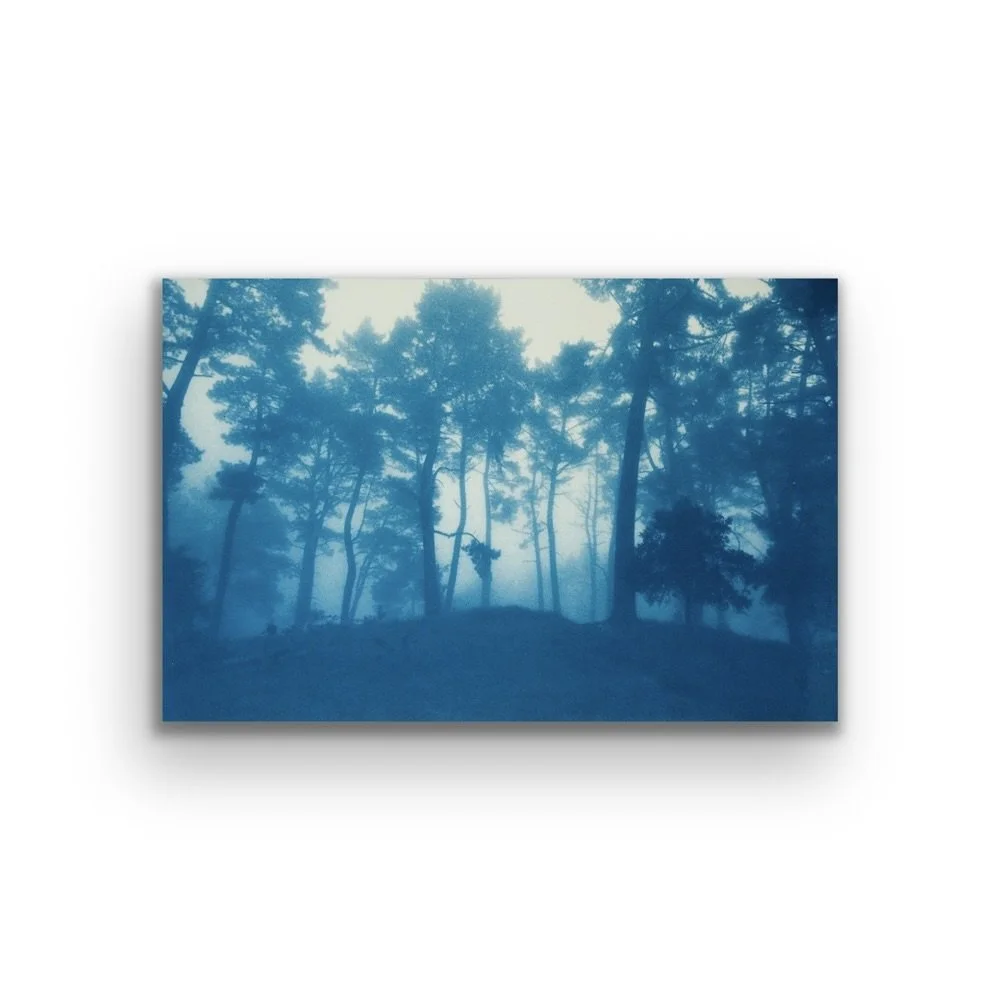 Sunrise Ridge (23x 35" Artist's Proof, hand-printed cyanotype, unframed)