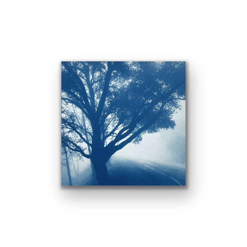 The Journey (12 x 12" original hand-printed cyanotype)