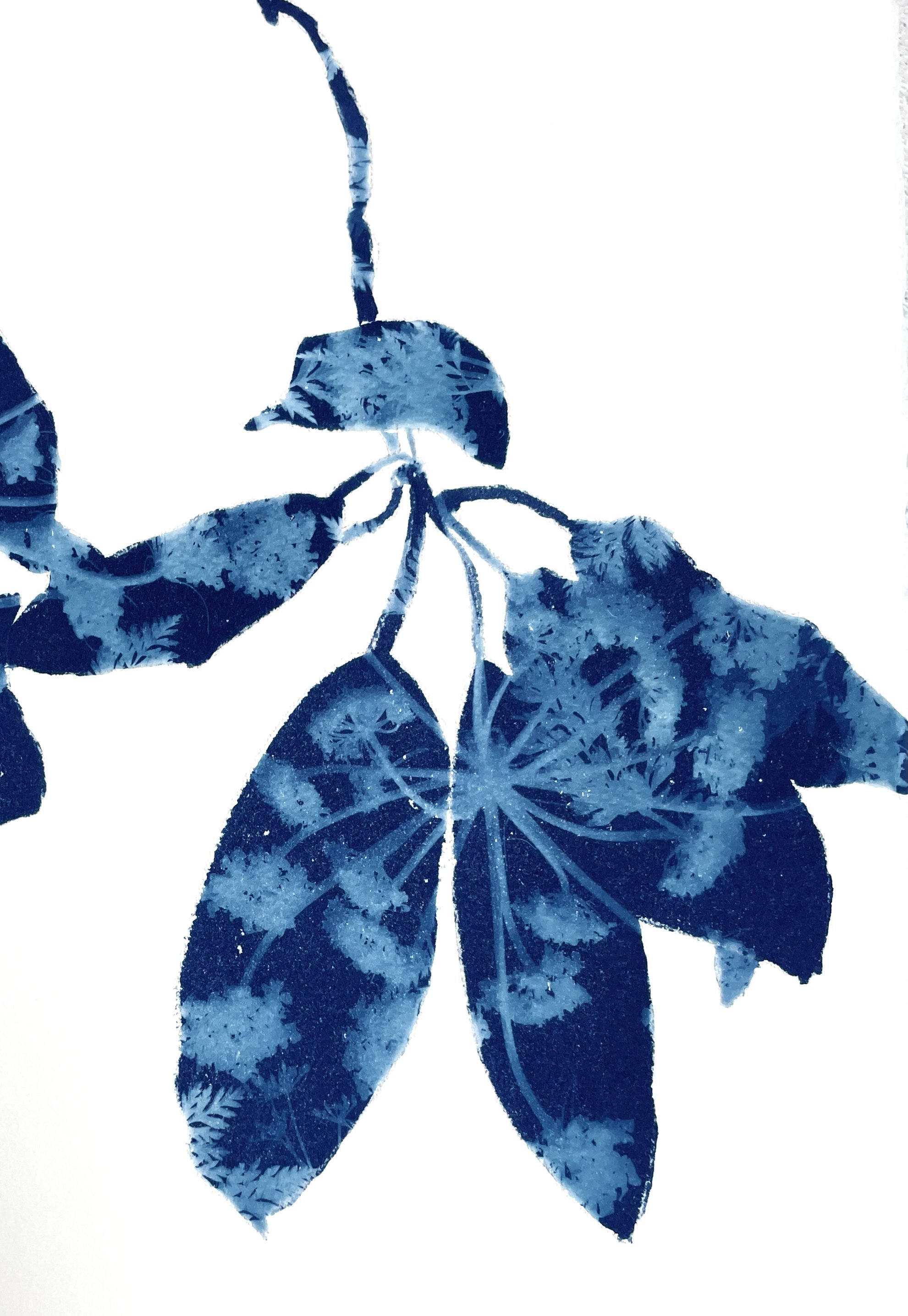 SpringMadroneIII_detail.jpeg