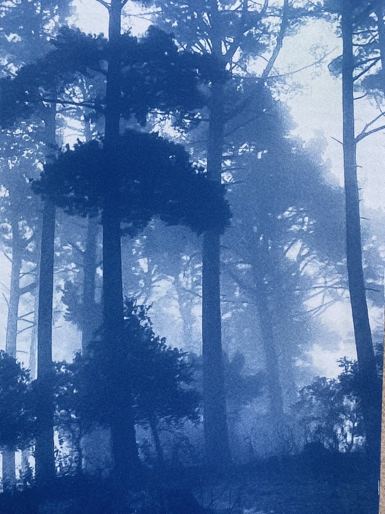 E0D3813B-BB04-488E-9A3E-24033587EA11_1_105_c.jpeg