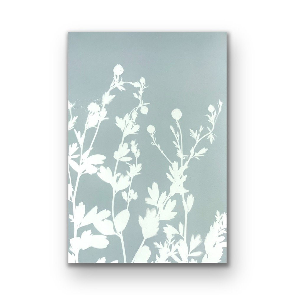Misty Poppies (20 x 14 inch original handmade monotype)