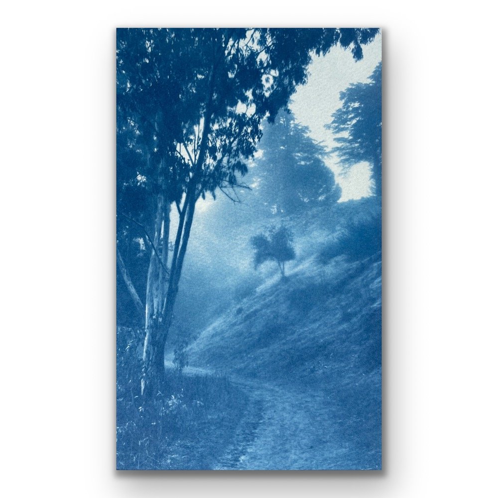 “Art Auction 25,” benefit for Coalition on Homelessness