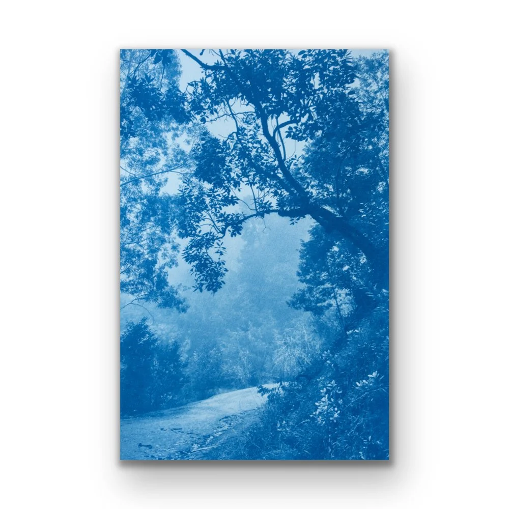 Center for Photographic Art 2025 International Juried Exhibition