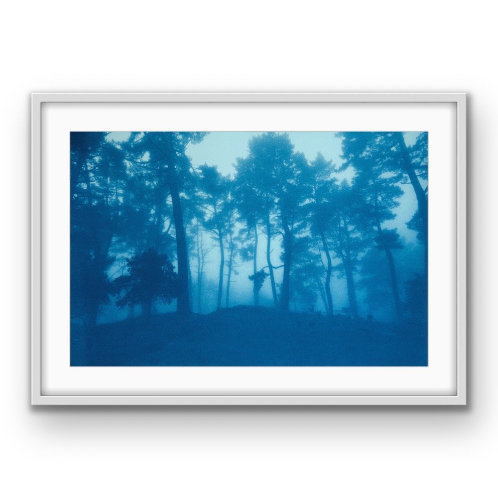 Earth Takes The Lead: Art Exhibition at 2026 Bioneers Conference