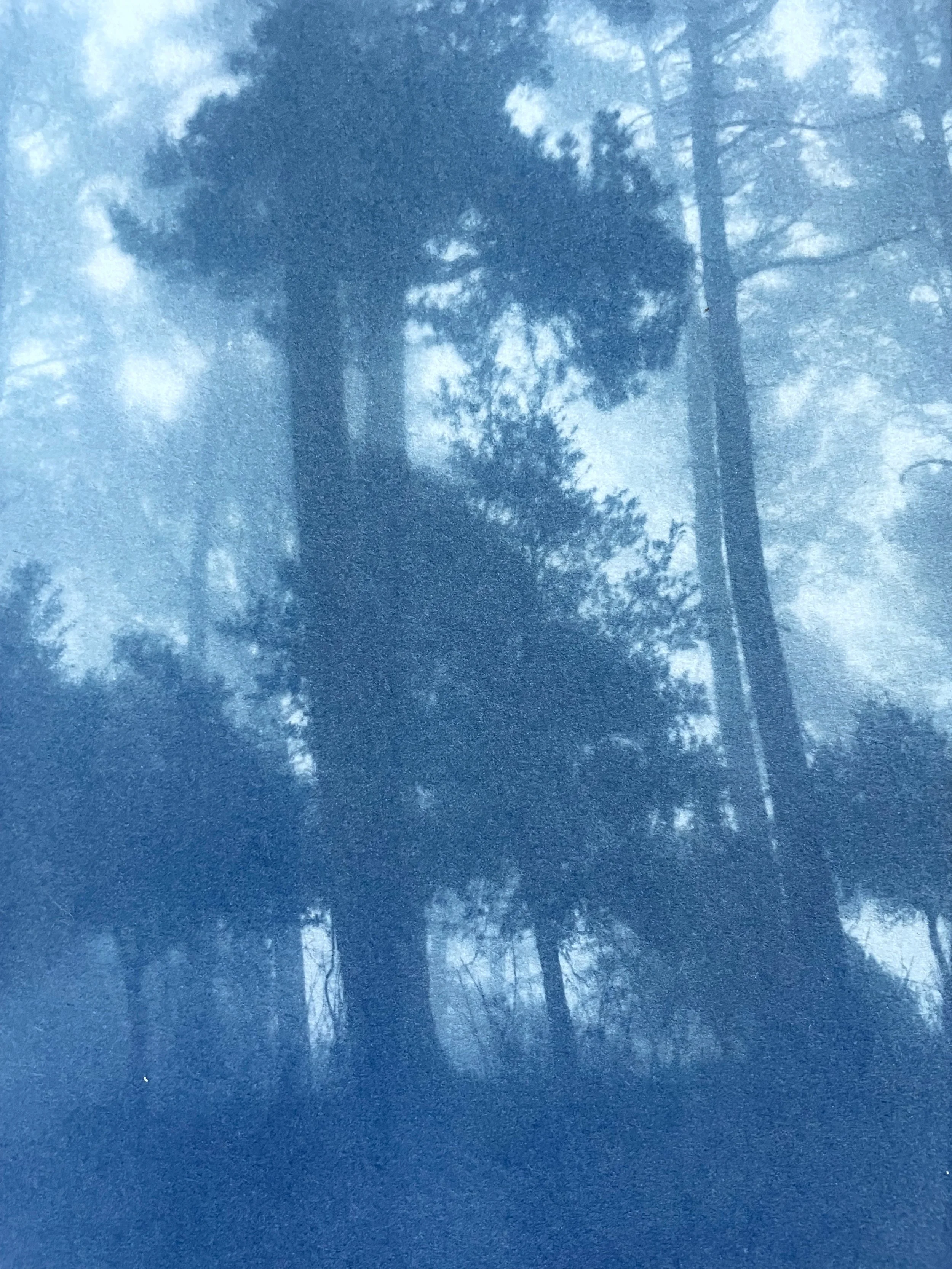 IMG_2094.jpeg (Copy)