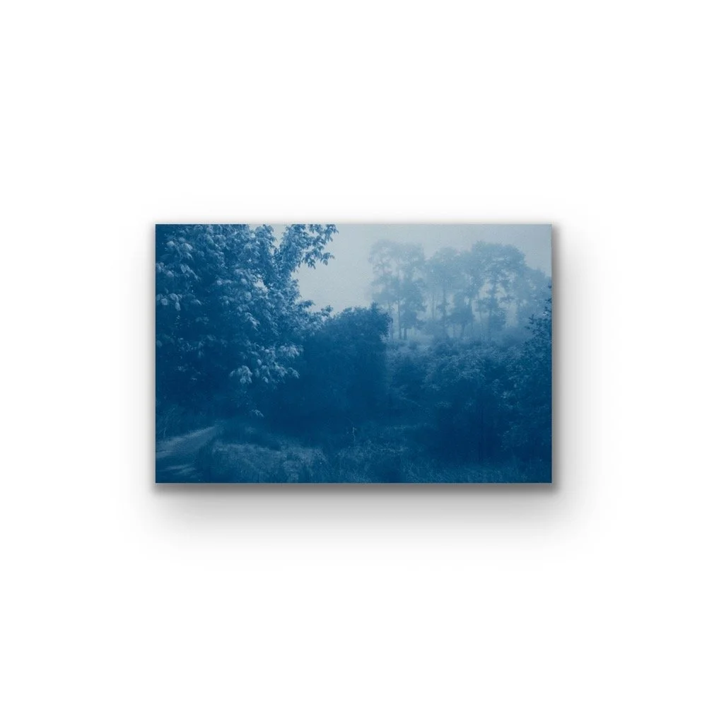 Fog Ridge (23 x 35" cyanotype, ed. 2 of 3,  Unframed)