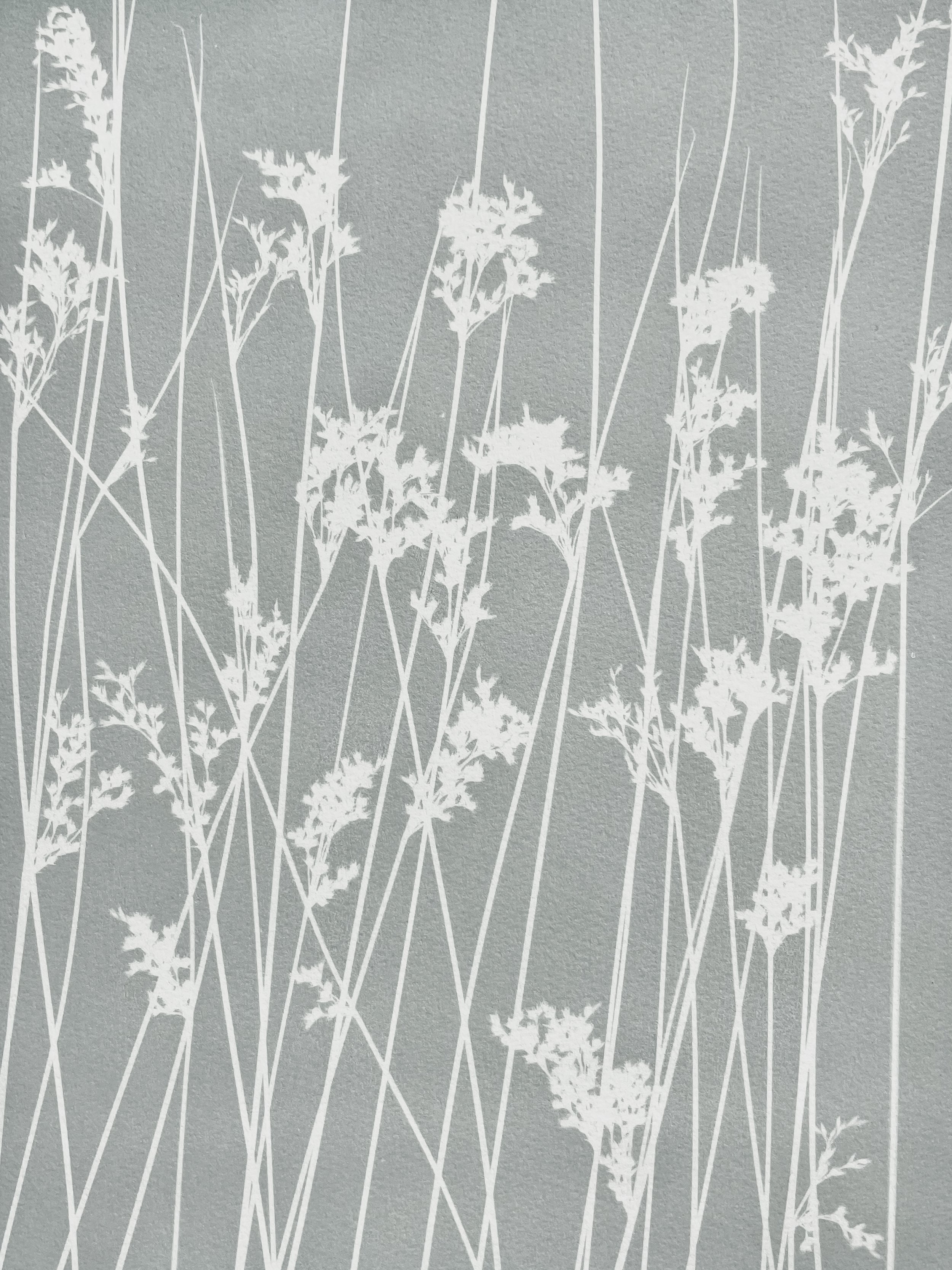 Misty Marsh Grass (gray) 7MB.jpeg