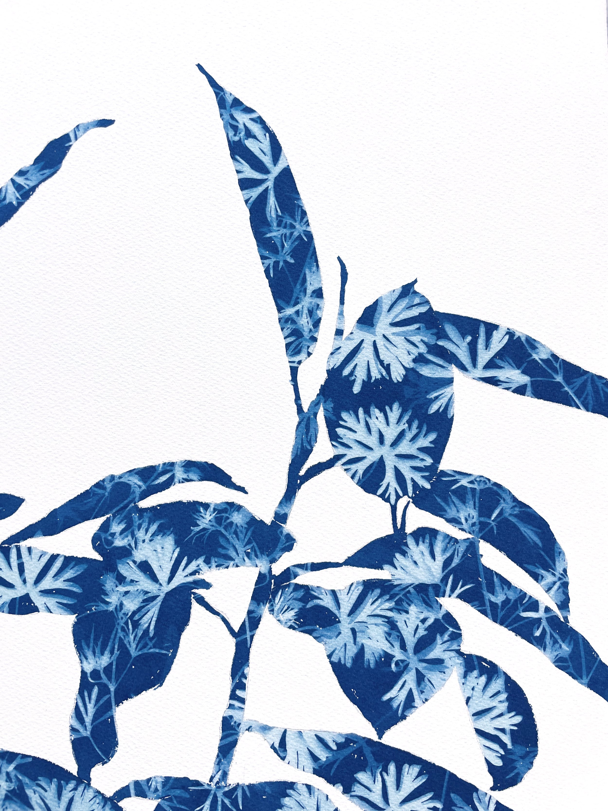 SpringFicus_IV_Detail4.jpeg