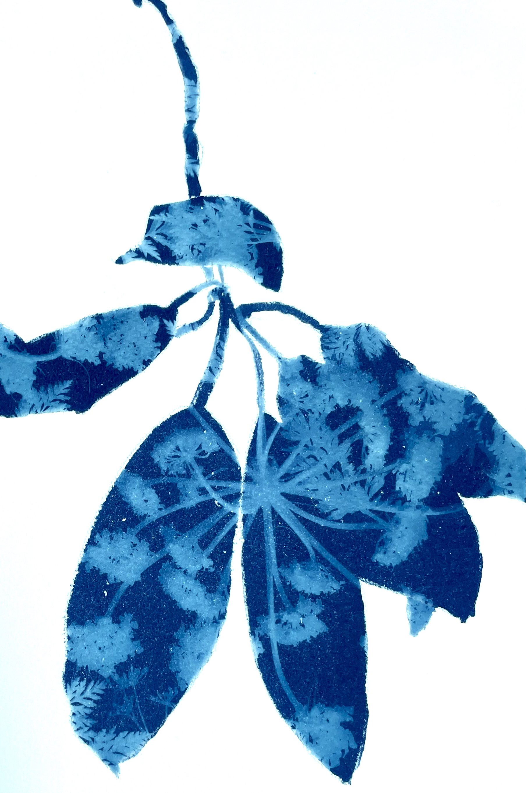 SpringMadroneIII_Detail1.jpeg