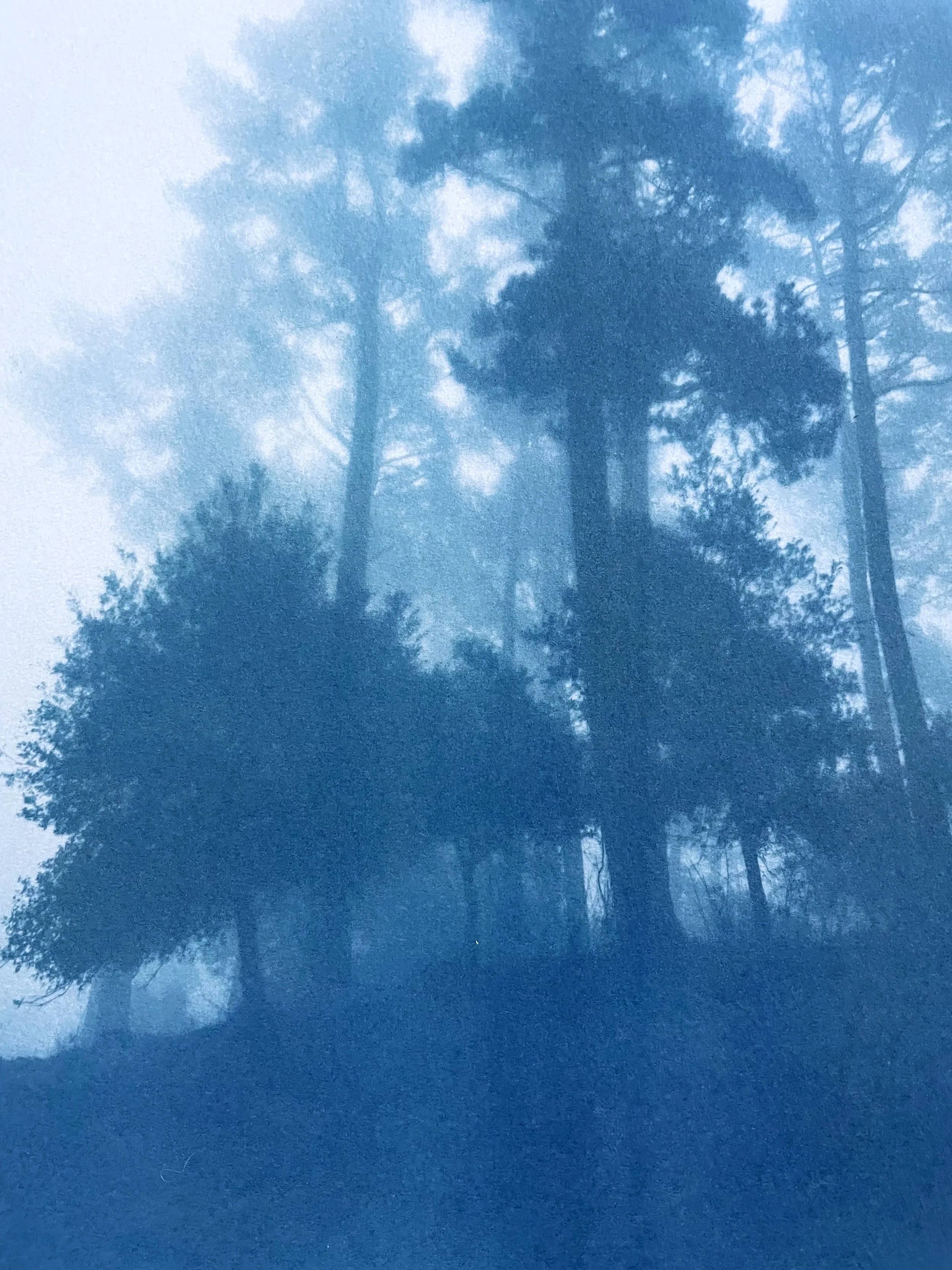 IMG_2092.jpeg (Copy)