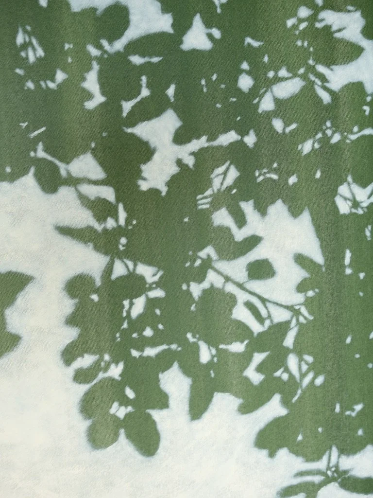 E2C694AA-FD8F-470D-81F5-572FCC9A9F91_1_105_c.jpeg