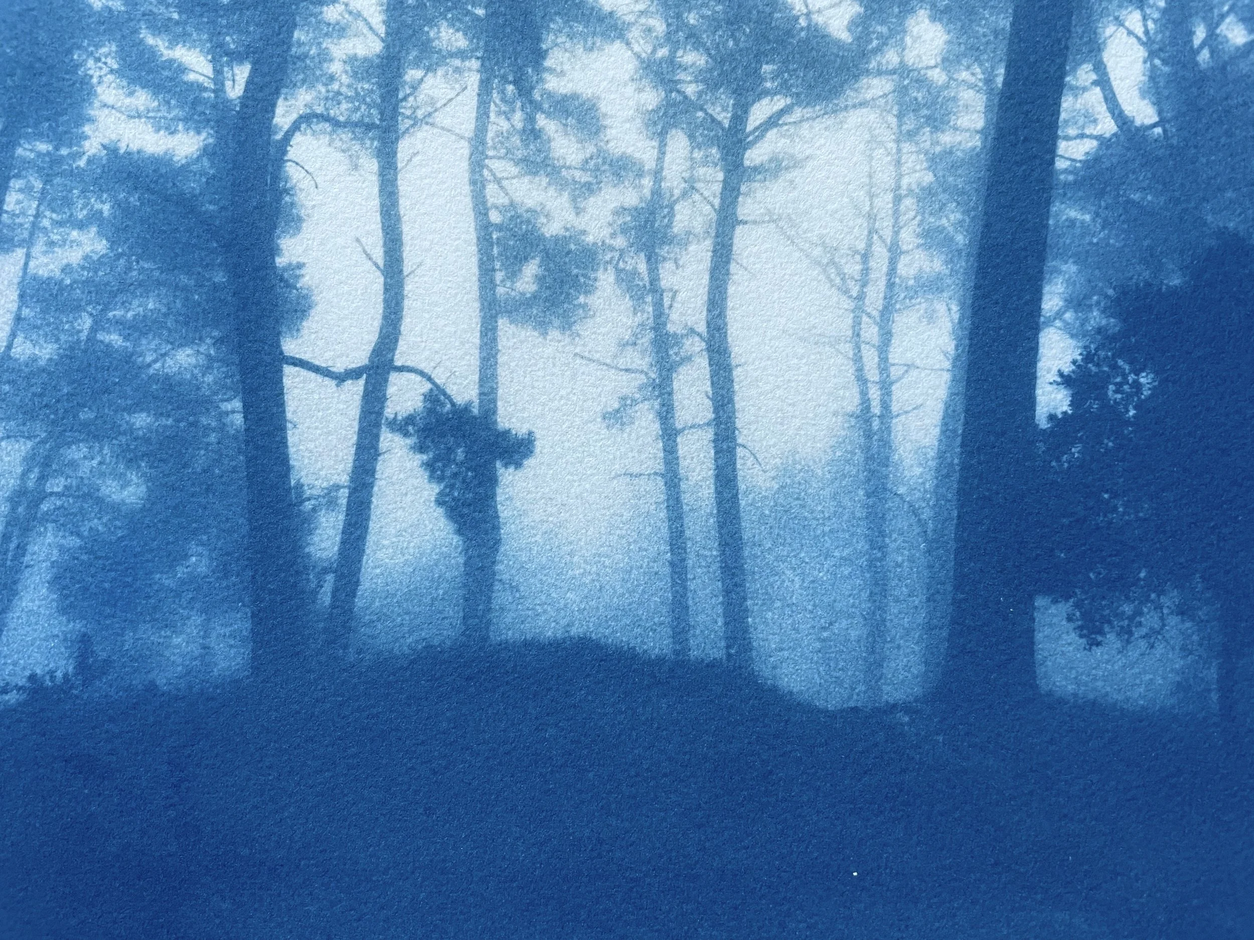 DETAIL1_SunriseRidge 2.jpg