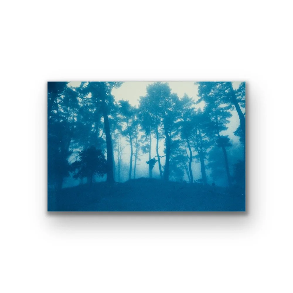 Sunrise Ridge (23 x 35" hand-printed cyanotype, unframed)