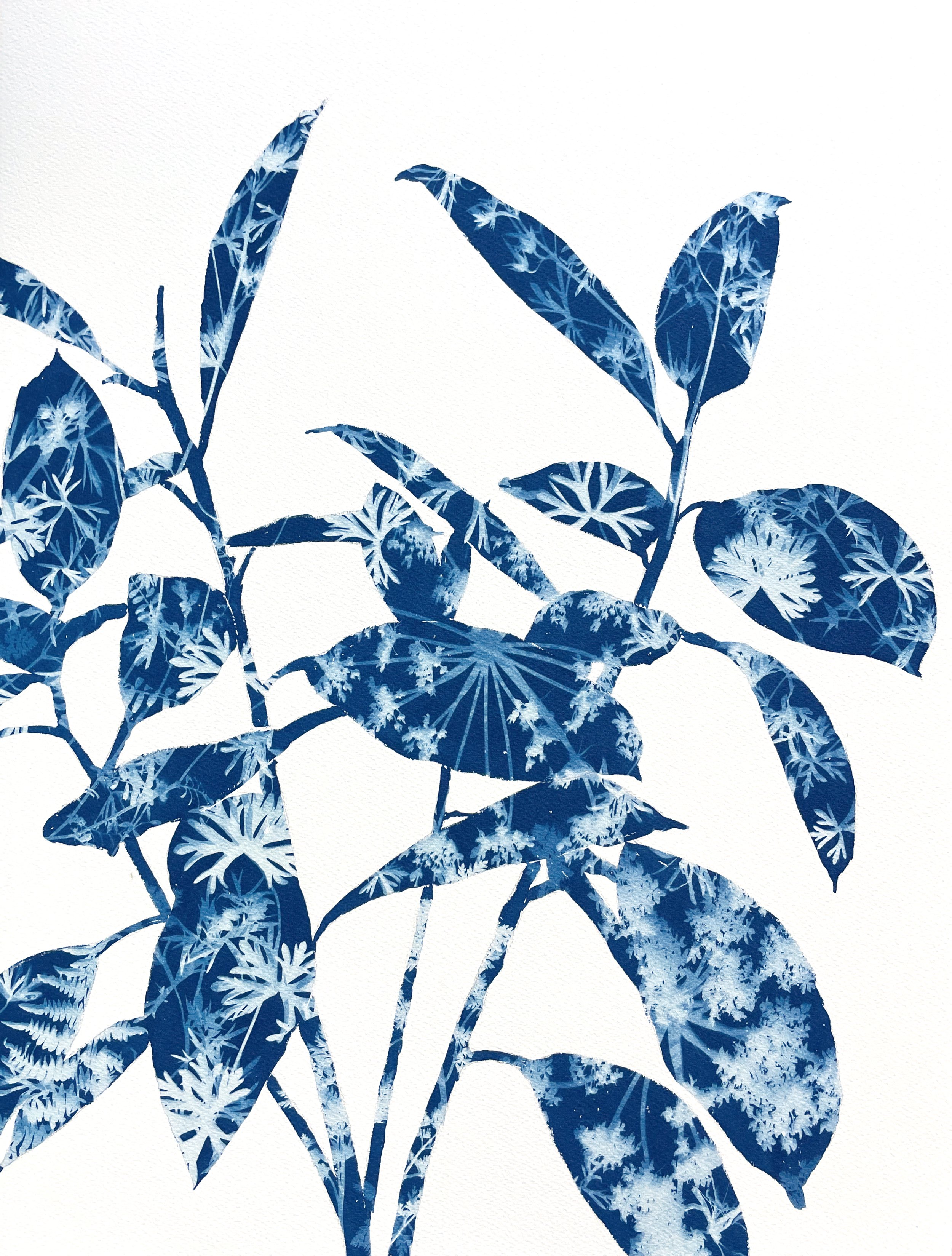 Spring Ficus III (Unframed 24 x 18" original cyanotype painting)