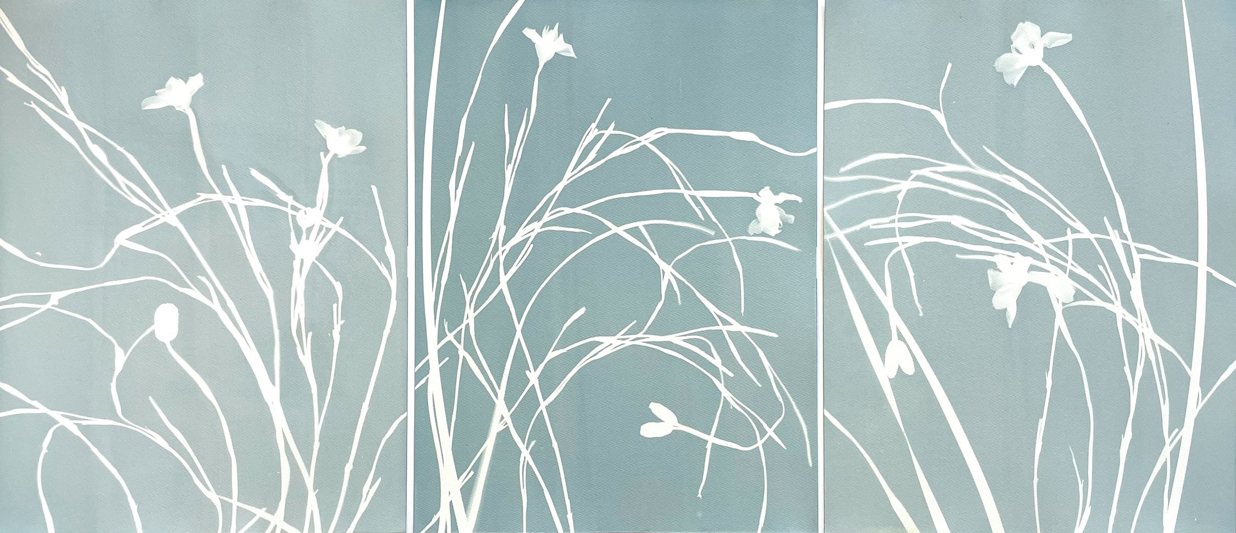 MistyIrisTriptych_Dark#2inMiddle_cropped.jpg