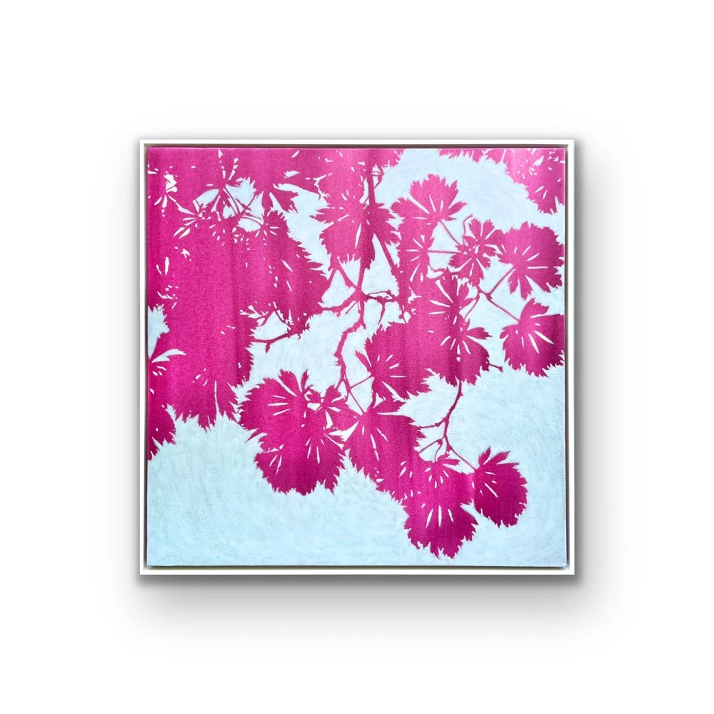 Daybreak Japanese Maple  (38 x 38 inch framed oil painting)