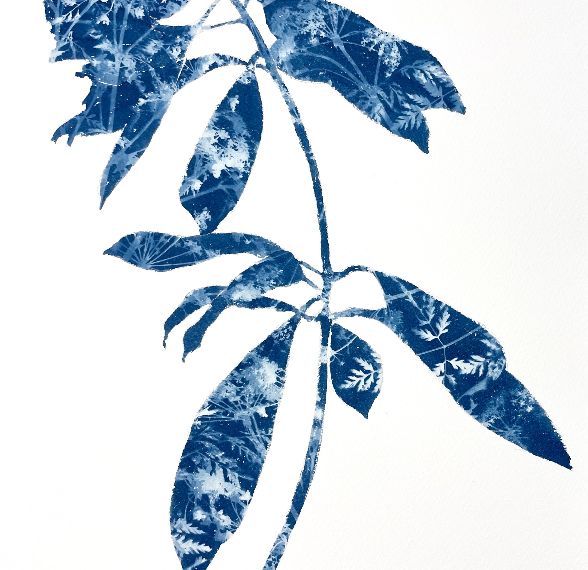 RhododendronBranch_18x12_Detail1.jpeg