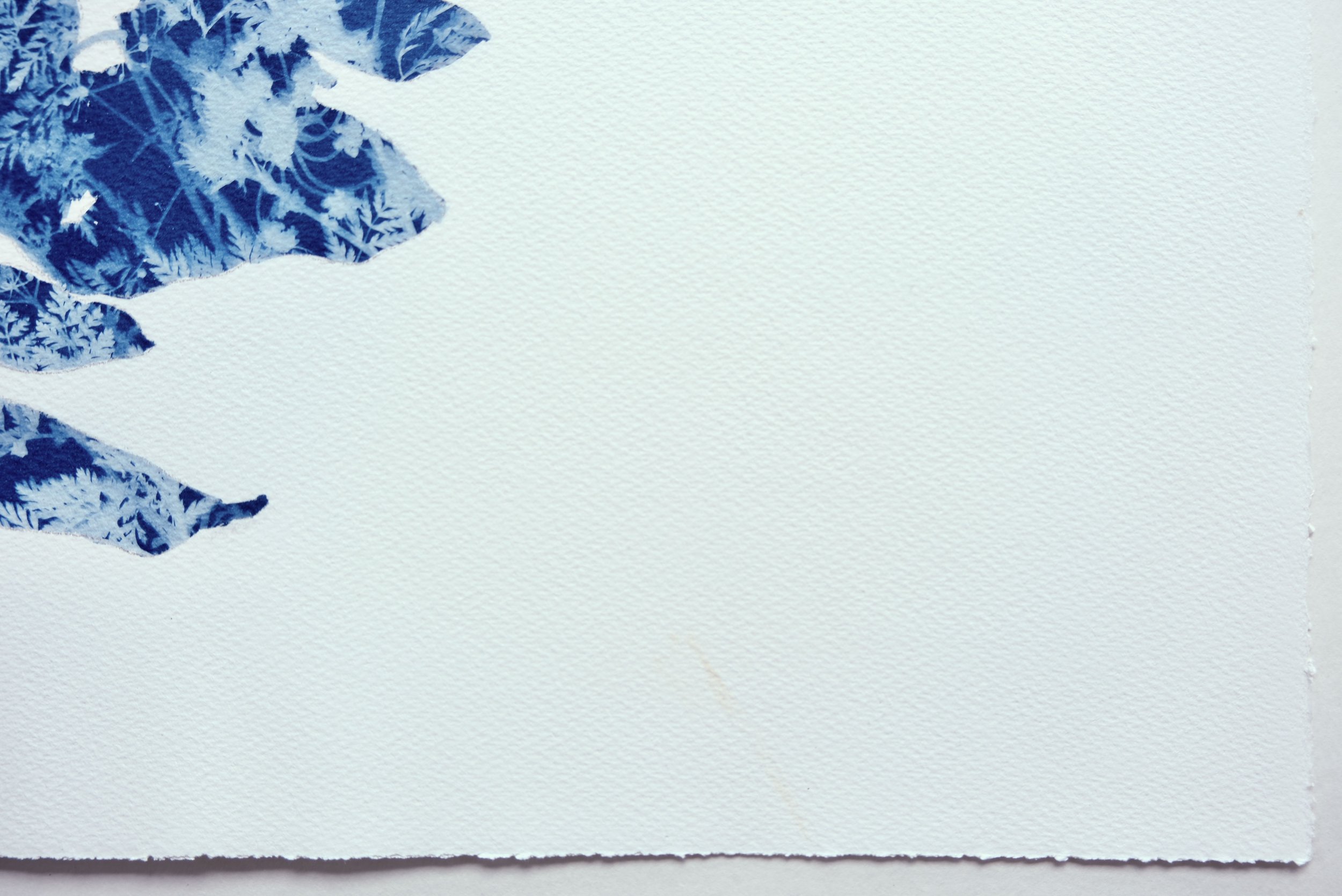 SpringMadroneV_Detail9_reddishSmear.jpeg