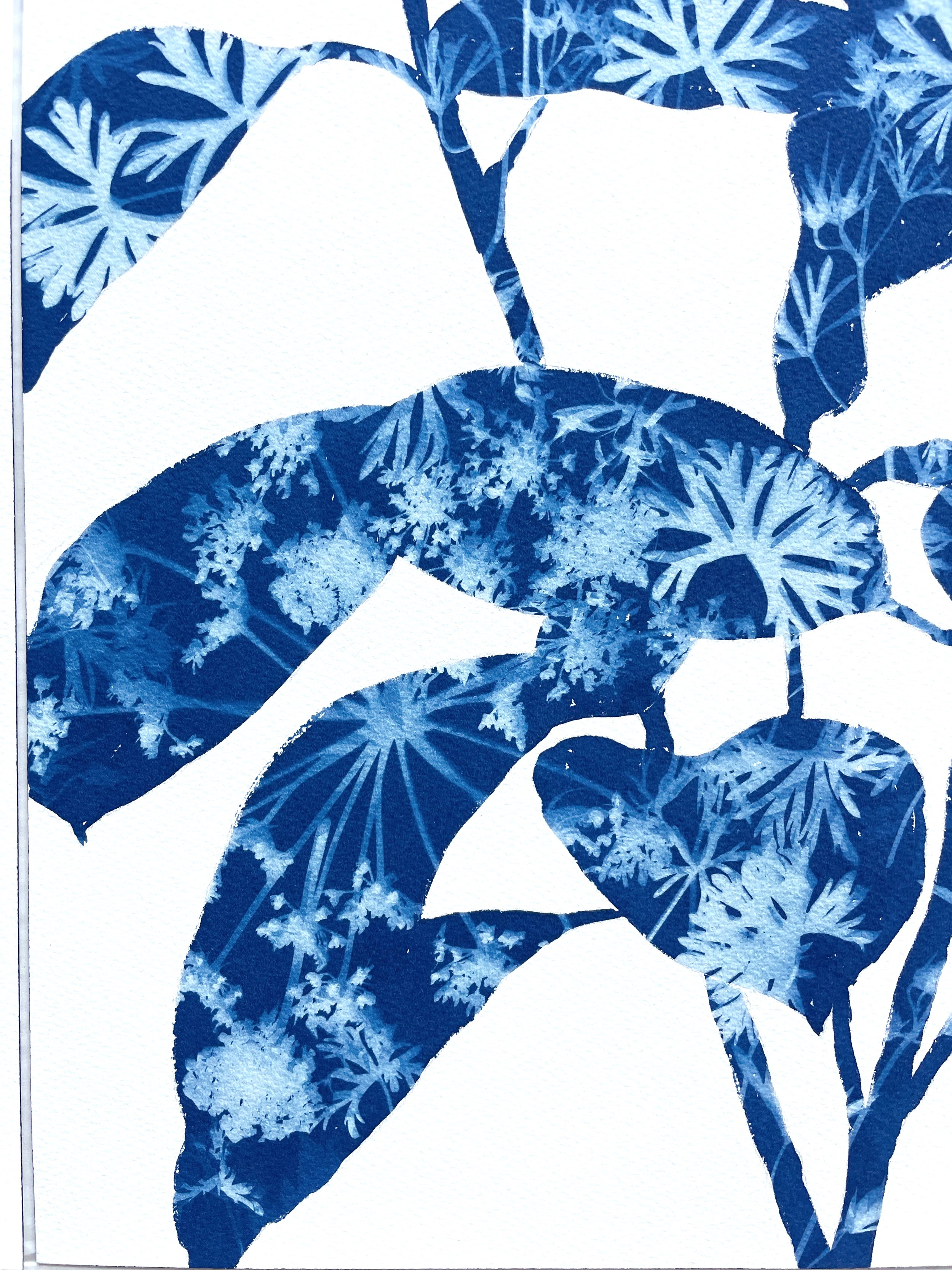 SpringFicus_IV_Detail1.jpeg