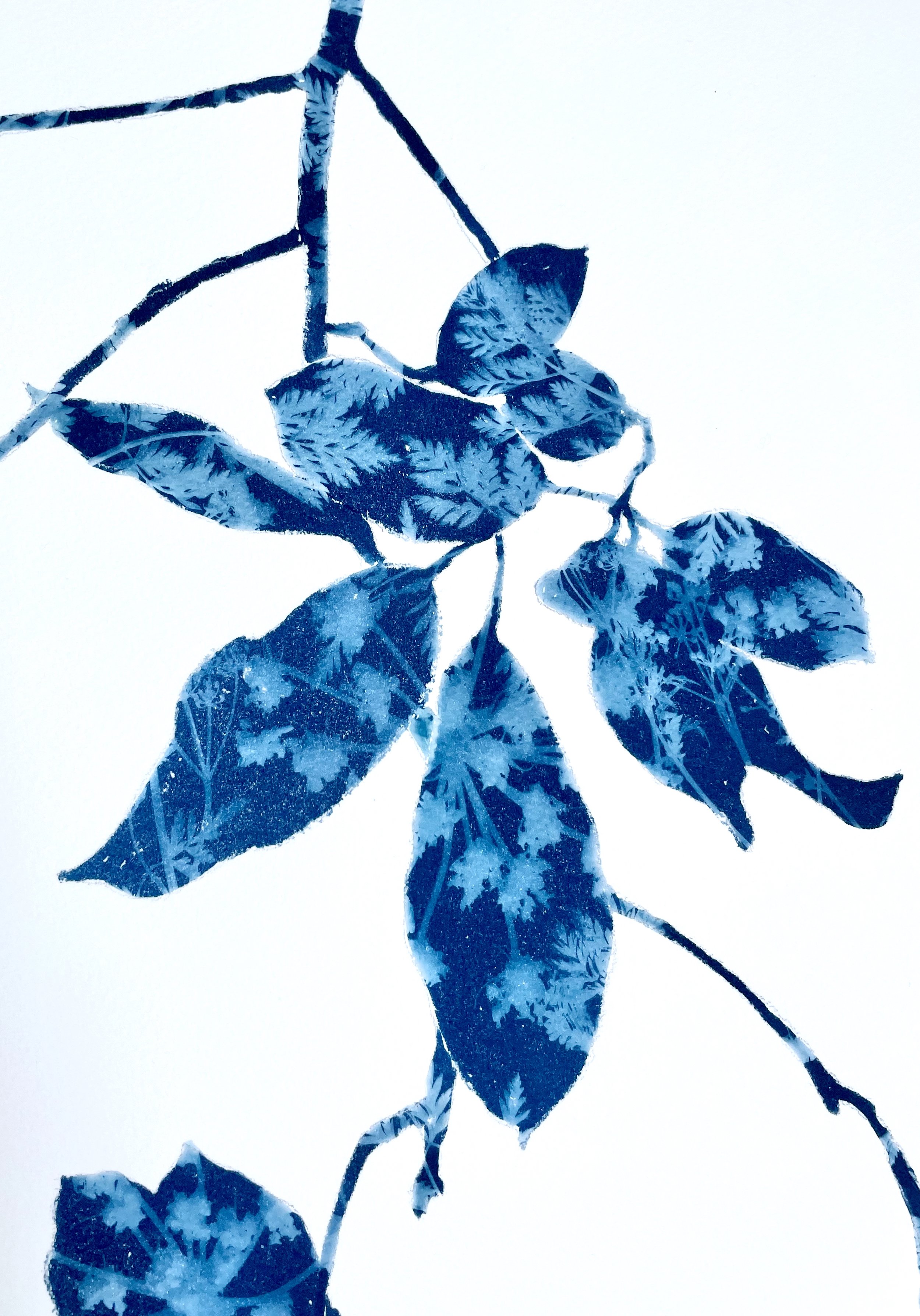 SpringMadroneIII_Detail4.jpeg