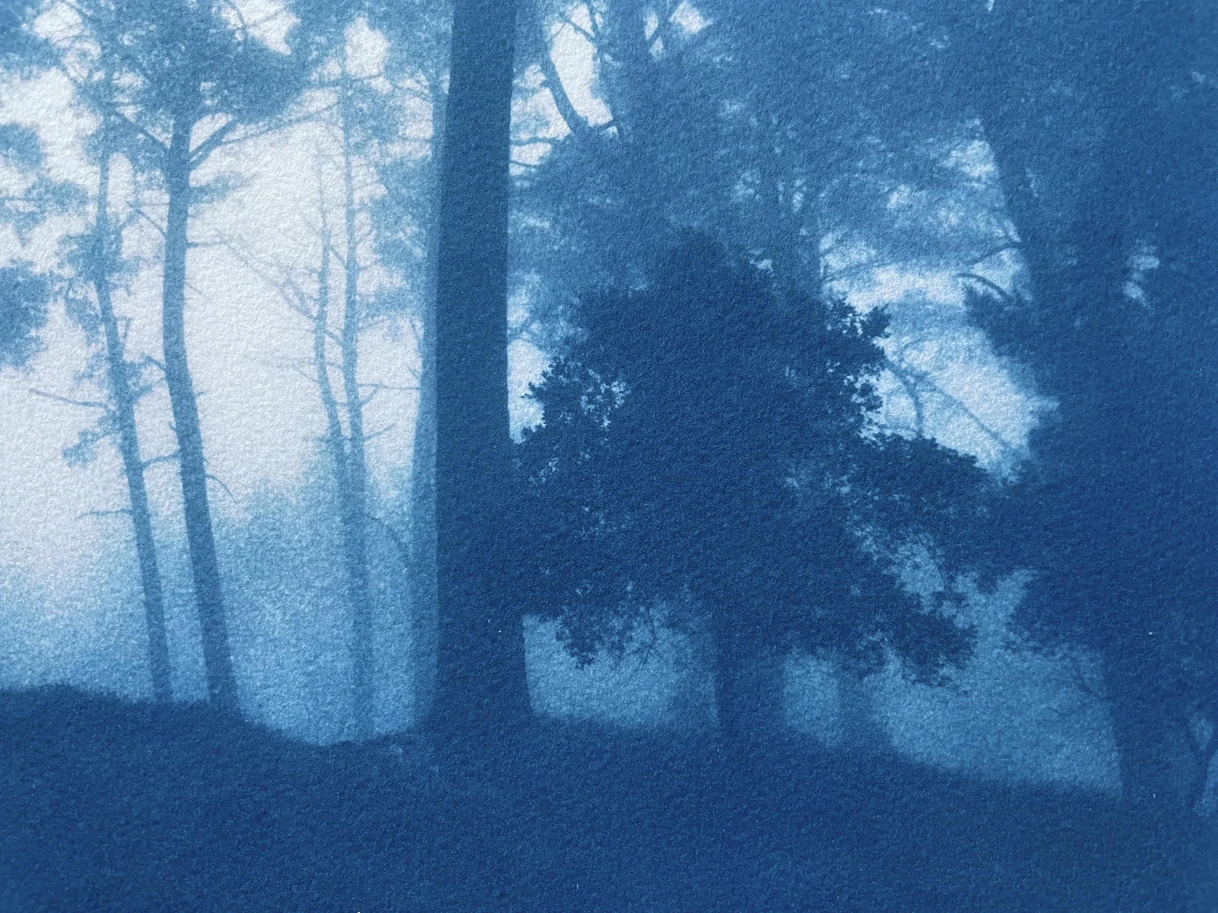 DETAIL2_SunriseRidge 2.jpg