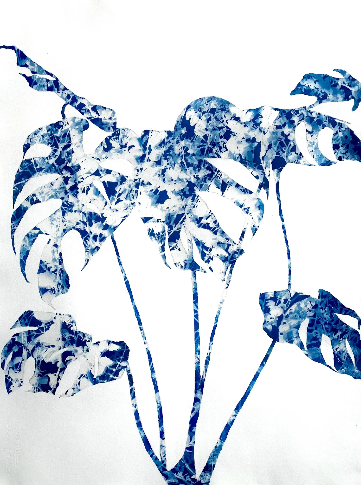 monochromatic blue botanical cyanotype prints by Christine So ...
