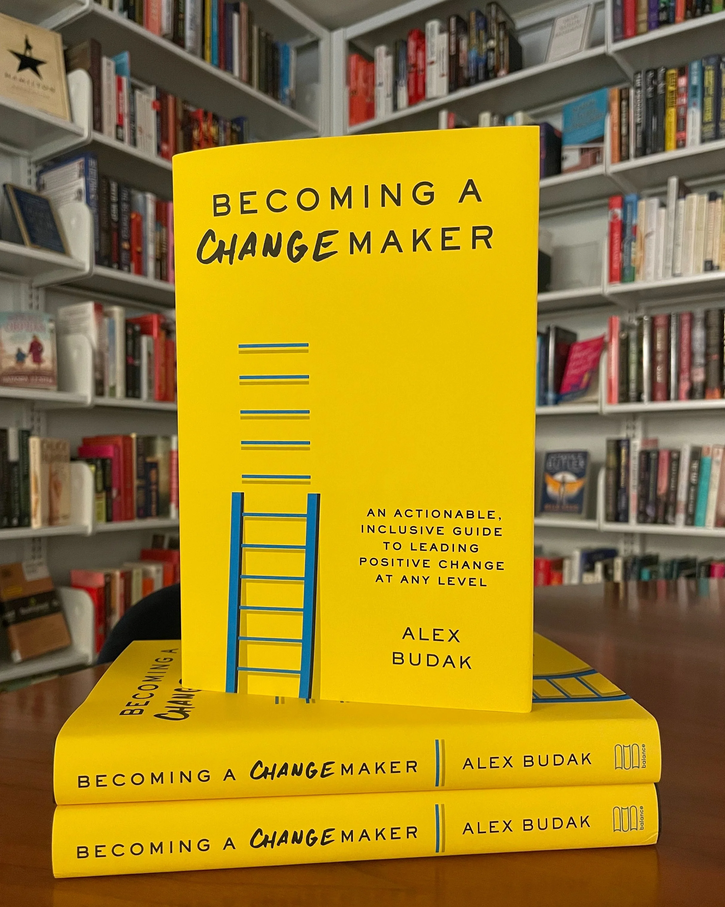 Book - Becoming a Changemaker
