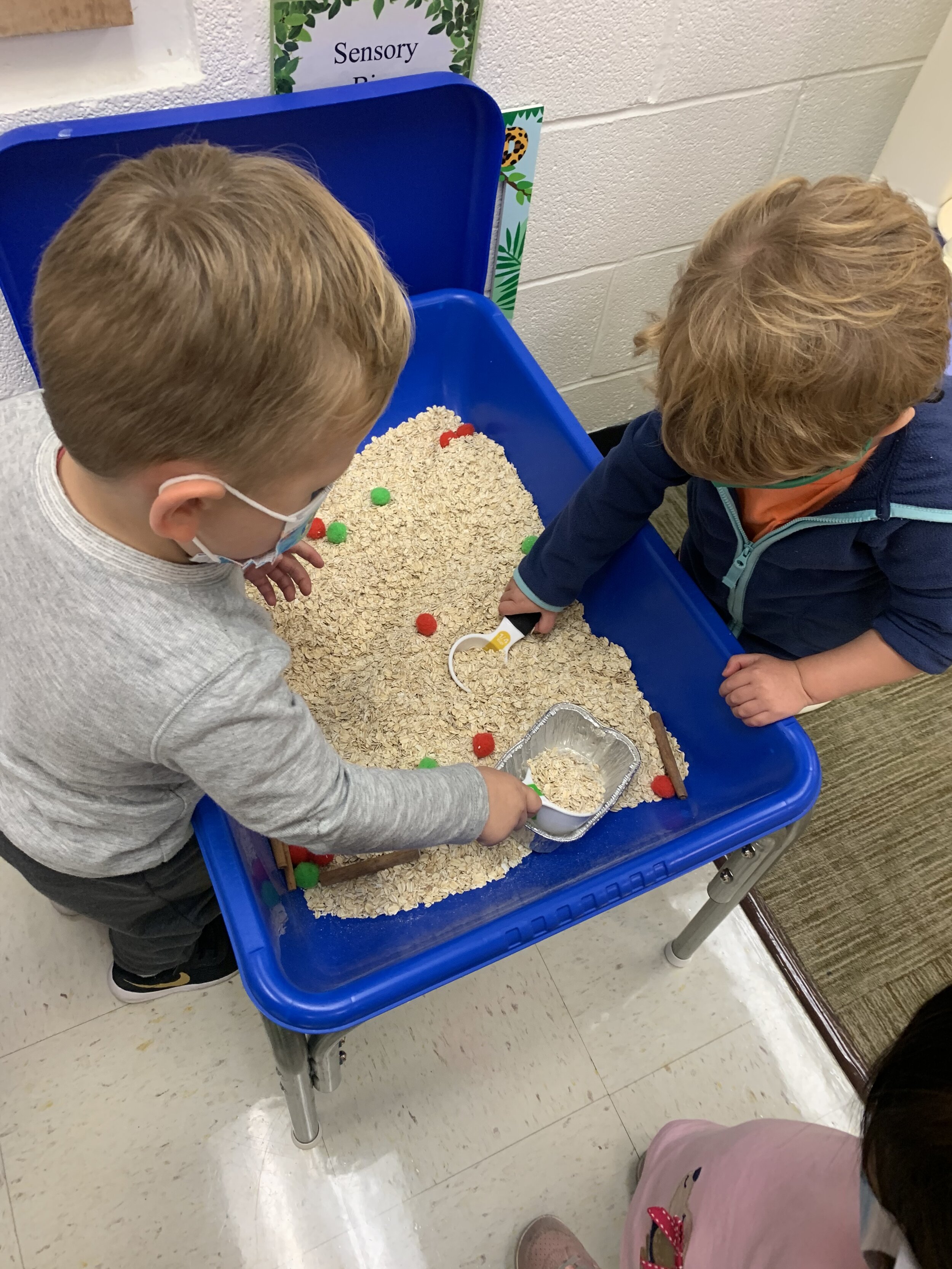 2 Year Old Pre School Near Me 2 Year Old Pre School Near Me