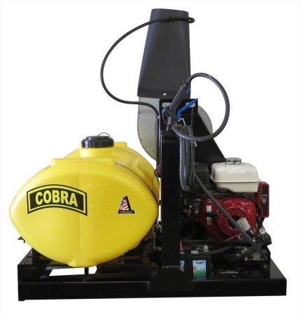 cobra_2.jpeg