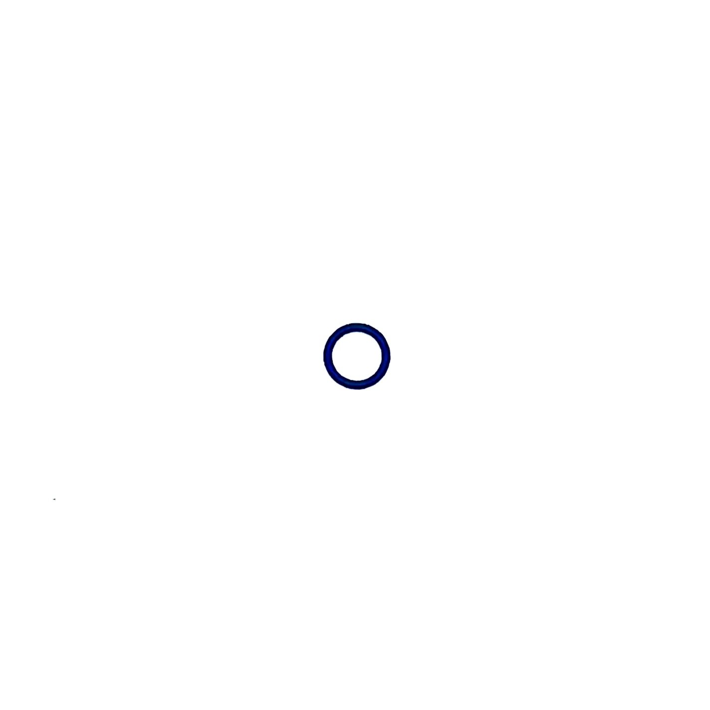 Pump Connector Sealing Ring