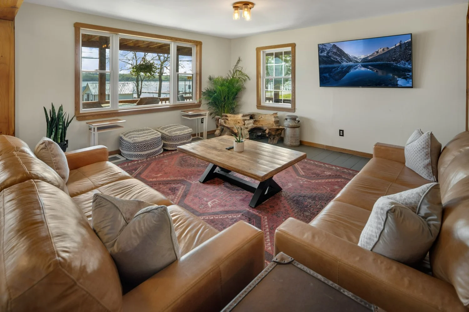 Cayuga Shoreline cayuga-shoreline