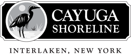 Cayuga Shoreline