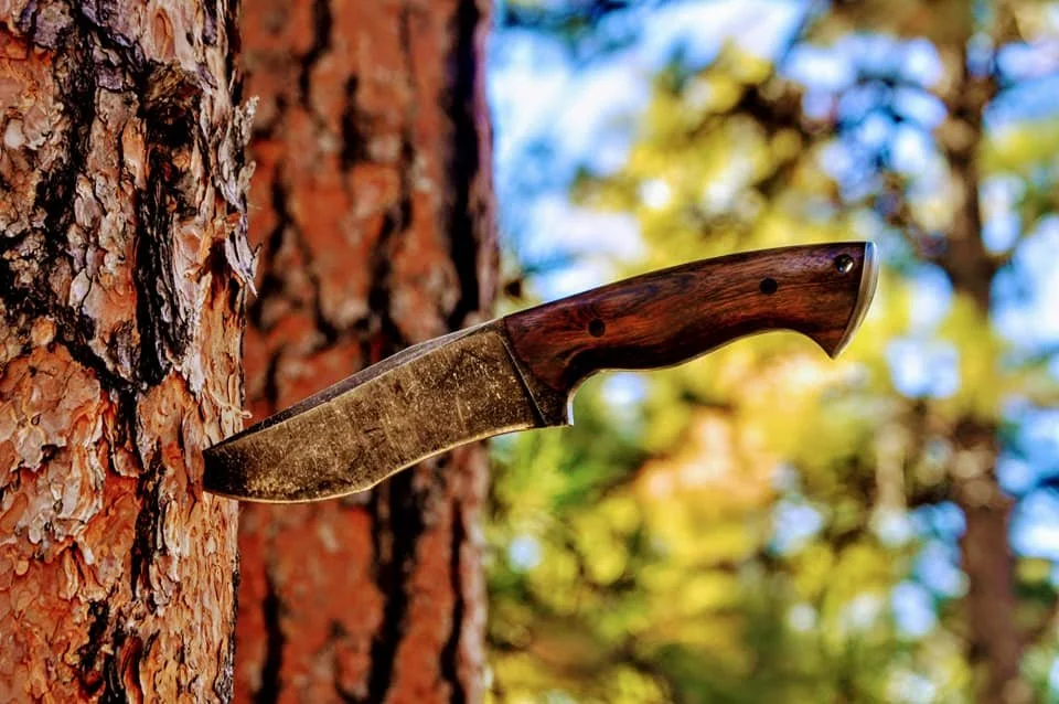 A hunting knife with a dark wooden handle and a slightly curved blade embedded in a tree trunk in a forest setting.