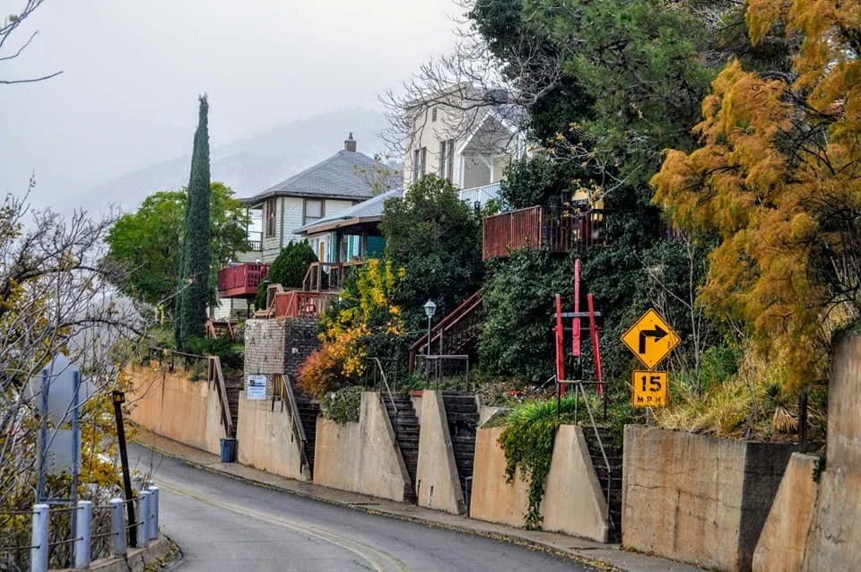 Houses built on a hillside along a winding road with trees and bushes. A yellow traffic sign indicates a right turn at 15 mph.