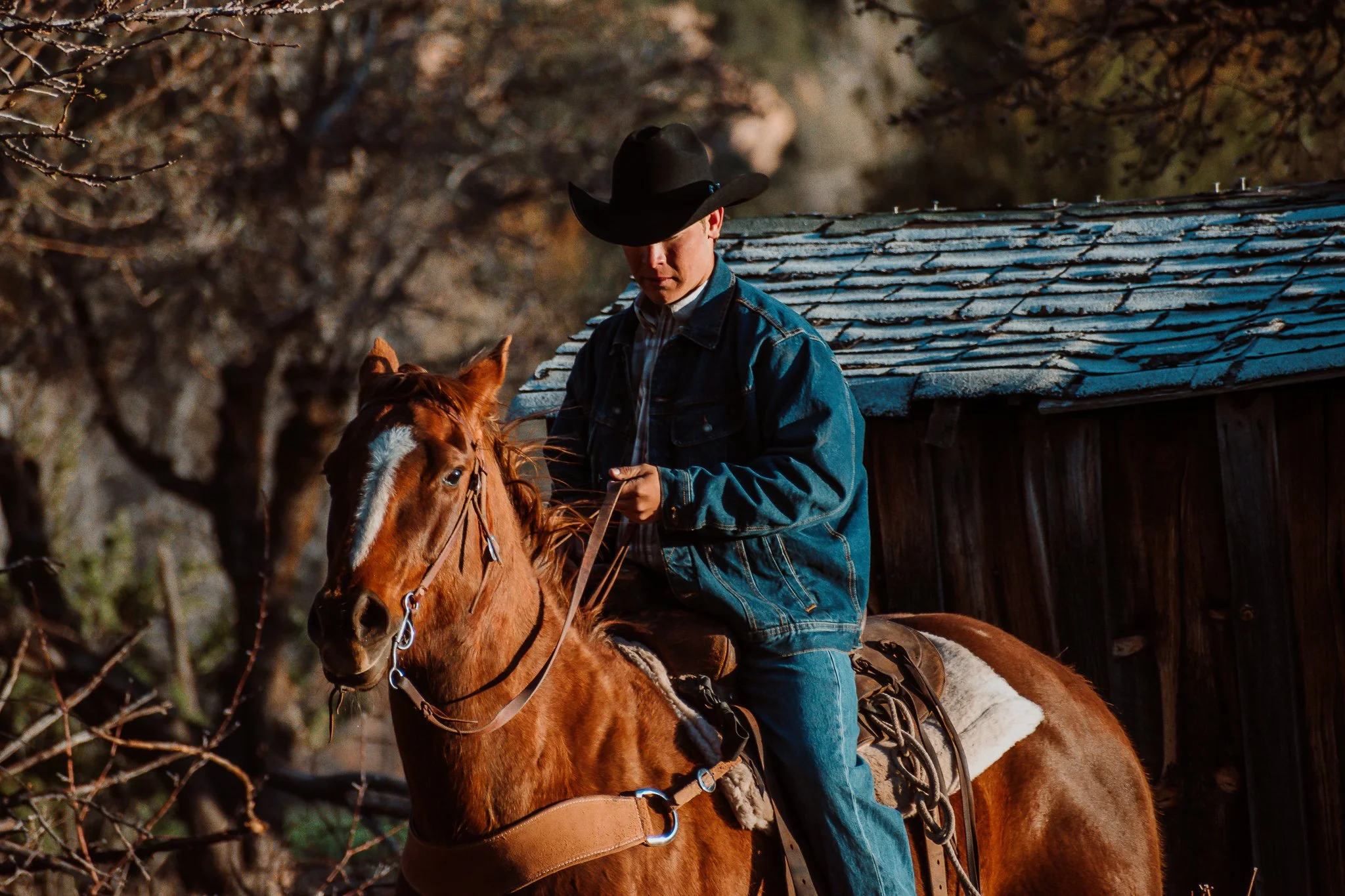 A man wearing a black cowboy hat and blue denim jacket riding a brown horse with a white stripe on its face near a rustic barn.