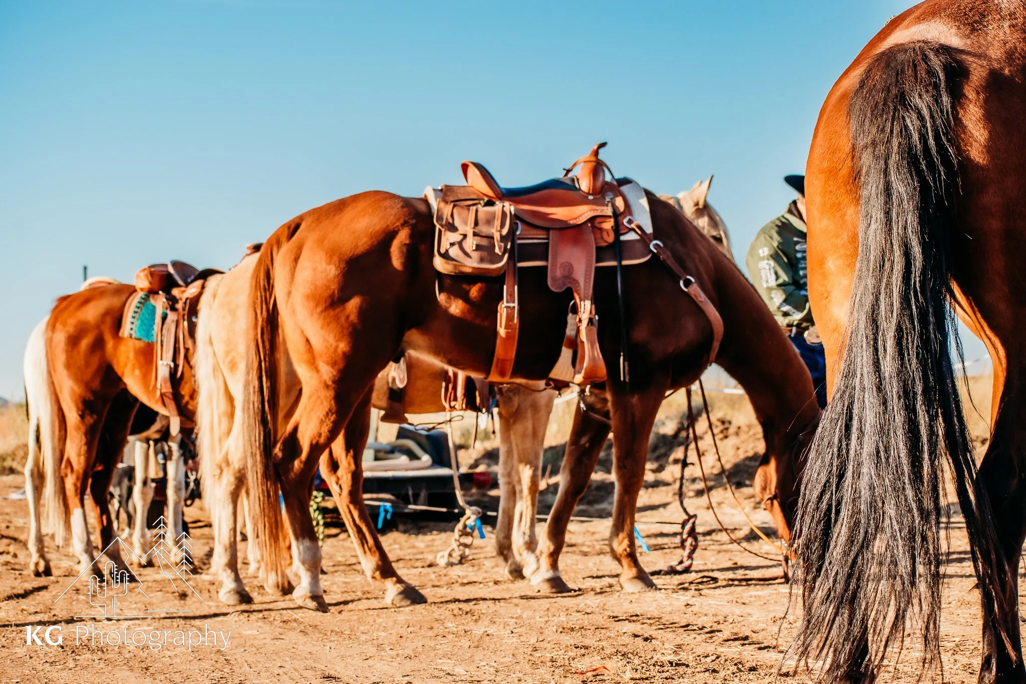 Multiple horses with saddles and bridles on a dirt ground under a clear blue sky.