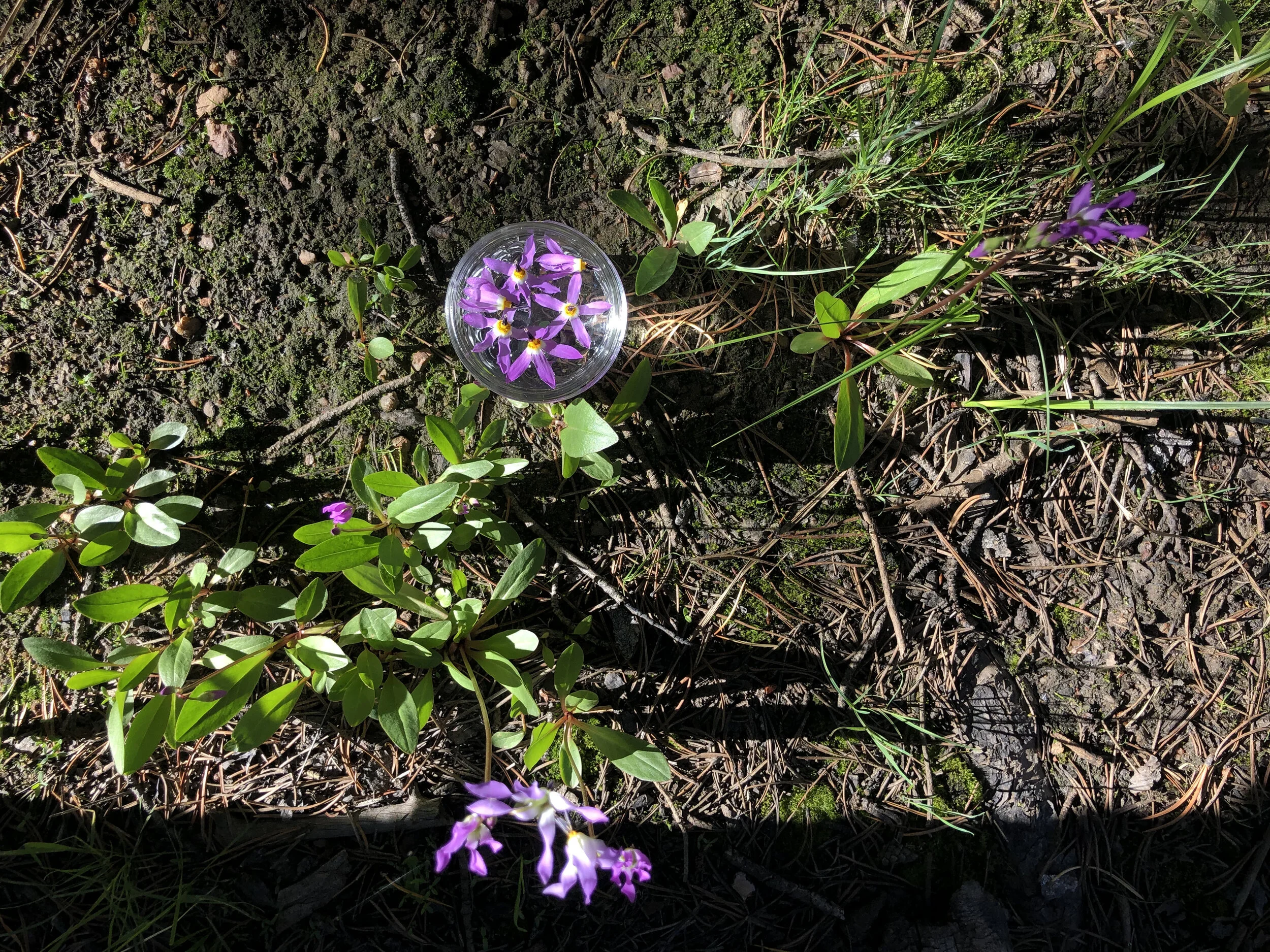 IMG_6926.jpeg